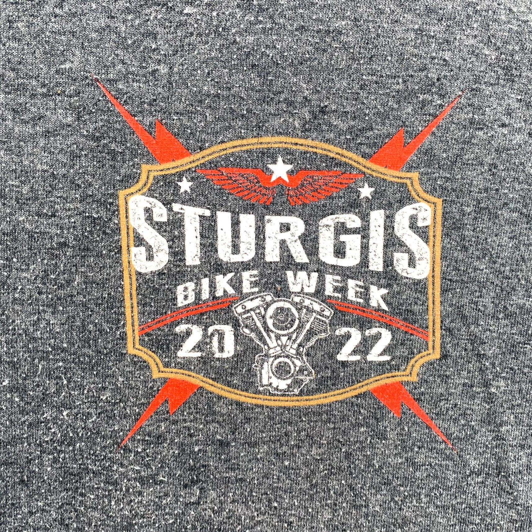Gildan Gildan Sturgis Bike Week T-Shirt Mens Large Gray Riding Biker Streetwear 2022 SD Size US L / EU 52-54 / 3 - 3 Thumbnail