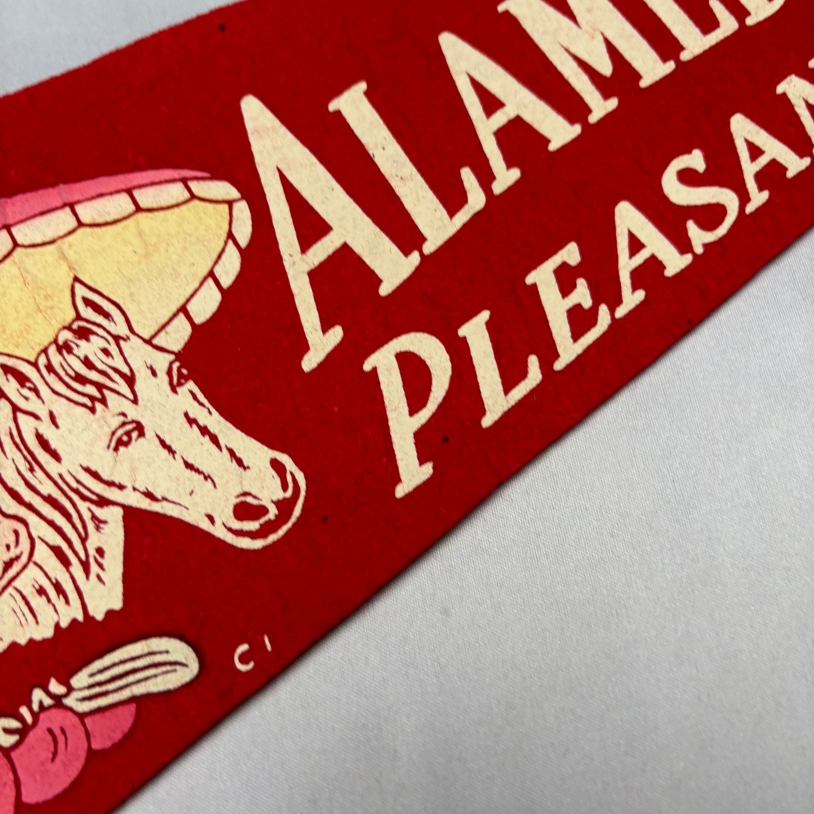 Vintage Vintage Alameda County Fair Pleasanton Felt Pennant 1950s Size ONE SIZE - 8 Thumbnail