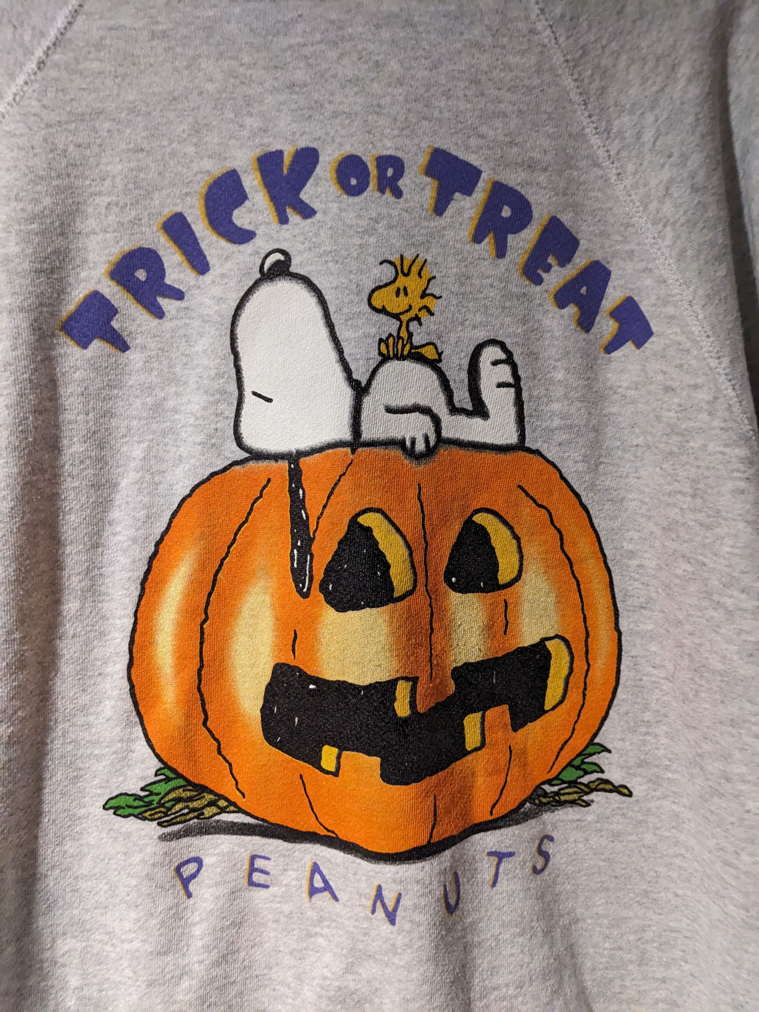 Vintage 90s Peanuts Snoopy Trick or Treat Large Sweatshirt