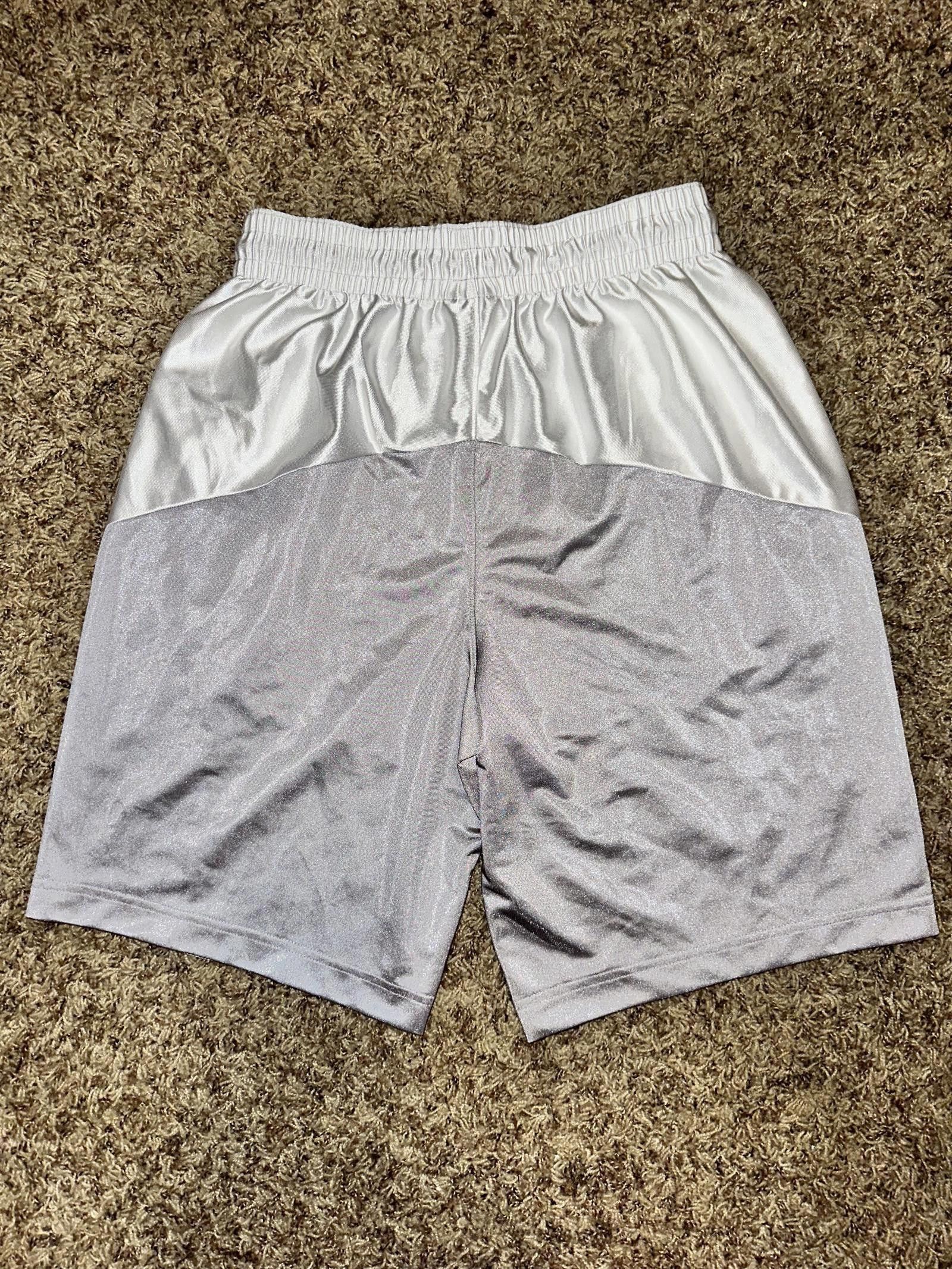 Nike Air Jordan Dri-Fit Sport Shorts Samples Size US 32 / EU 48 - 5 Thumbnail