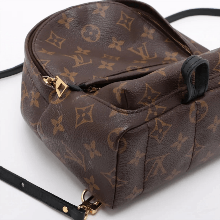 Louis Vuitton Monogram Palm Springs Mini Backpack Size ONE SIZE - 4 Thumbnail
