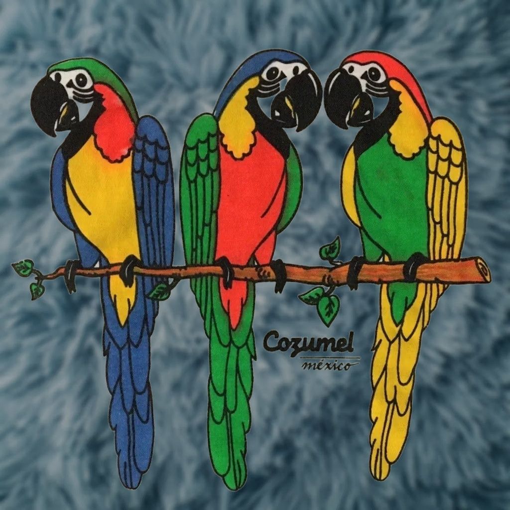 Vintage VINTAGE Parrot Mexico Shirt L White Sun Palm Trees Beach 90s 80s Grunge Surf USA Mens T-Shirt Single Stitch Size US L / EU 52-54 / 3 - 1 Thumbnail