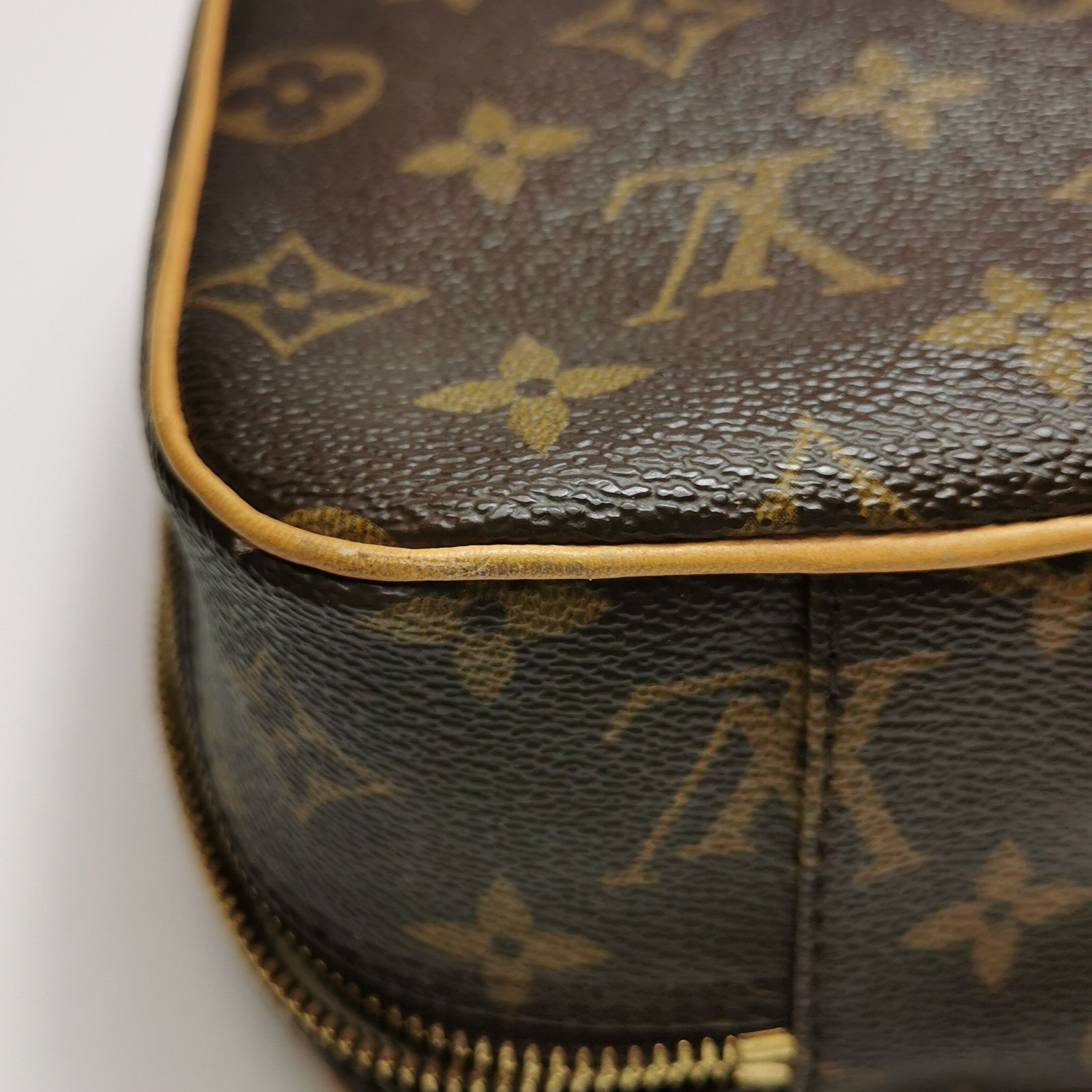Louis Vuitton Louis Vuitton (LV) Vegetable Tanned Leather Monogram Print Size ONE SIZE - 4 Thumbnail