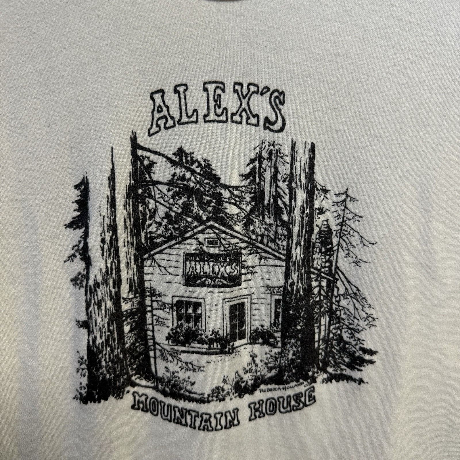 Hanes Vintage Hanes Designer Tees Womens Large 16x21 Cabin Mountai Size L / US 10 / IT 46 - 3 Thumbnail