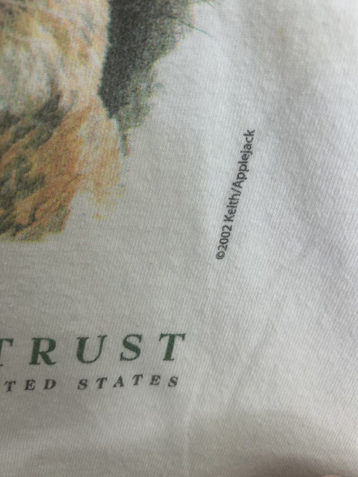 Vintage ‘02 Vintage Wildlife Land Trust Mountain Lion Art T-shirt Size US L / EU 52-54 / 3 - 3 Thumbnail