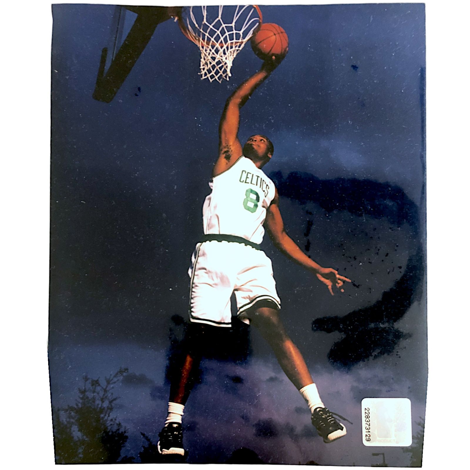 NBA Boston Celtics Antoine Walker 8"x10" Photo Size ONE SIZE - 1 Preview
