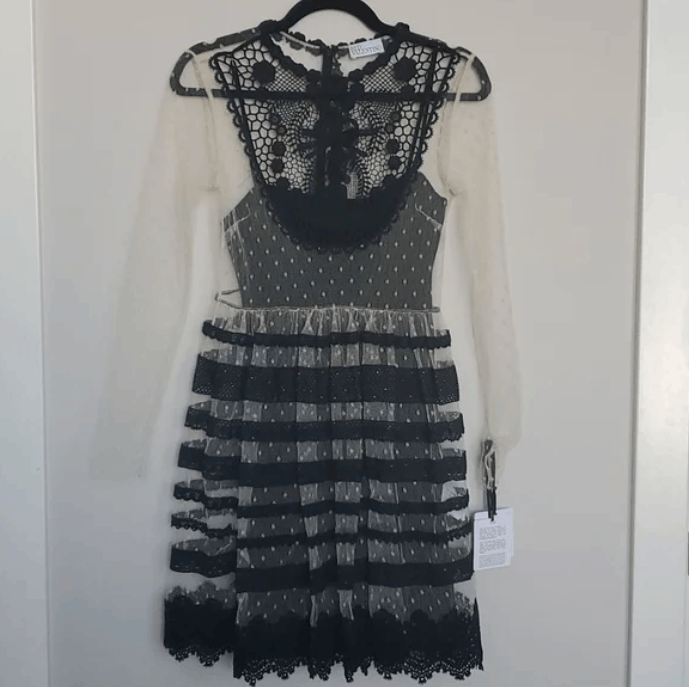 RED Valentino Crocheted lace-paneled point d'esprit mini dress Size XS / US 0-2 / IT 36-38 - 4 Thumbnail