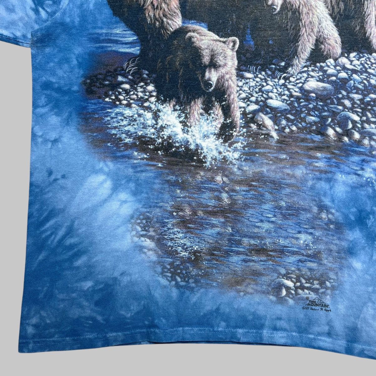 The Mountain × Vintage Vintage 2001 Brown Bears Nature The Mountain Graphic Tee Size US M / EU 48-50 / 2 - 6 Thumbnail