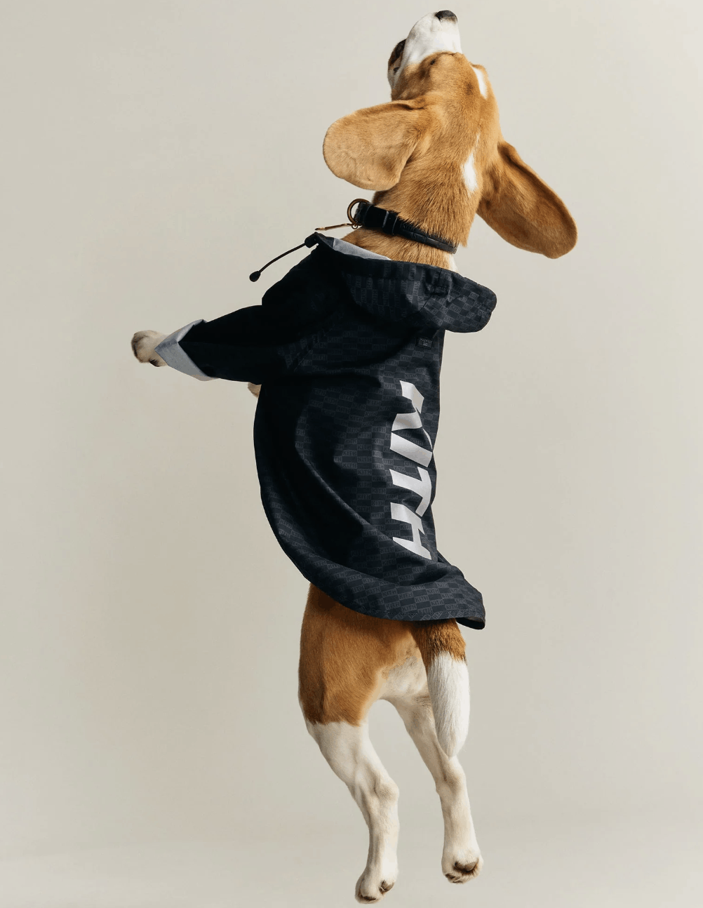 Kith (size L) Kith for wagwear Nylon Rainbreaker - Black Size ONE SIZE - 8 Thumbnail