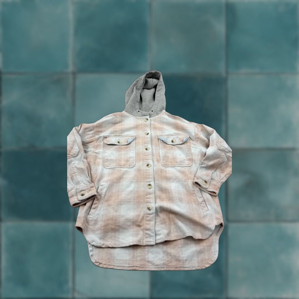 Bdg BDG Urban Outfitters Shirt Womens Small Pink Blue Plaid Hooded Flannel Size S / US 4 / IT 40 - 1 Thumbnail
