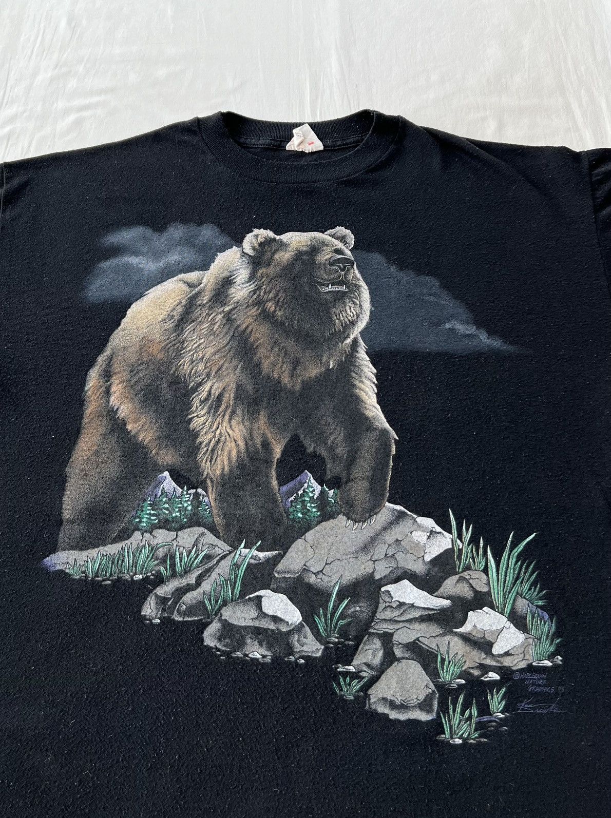 Vintage Vintage 1993 Harlequin Grizzly Bear Niagara Falls Canada Tee Size US XL / EU 56 / 4 - 4 Thumbnail