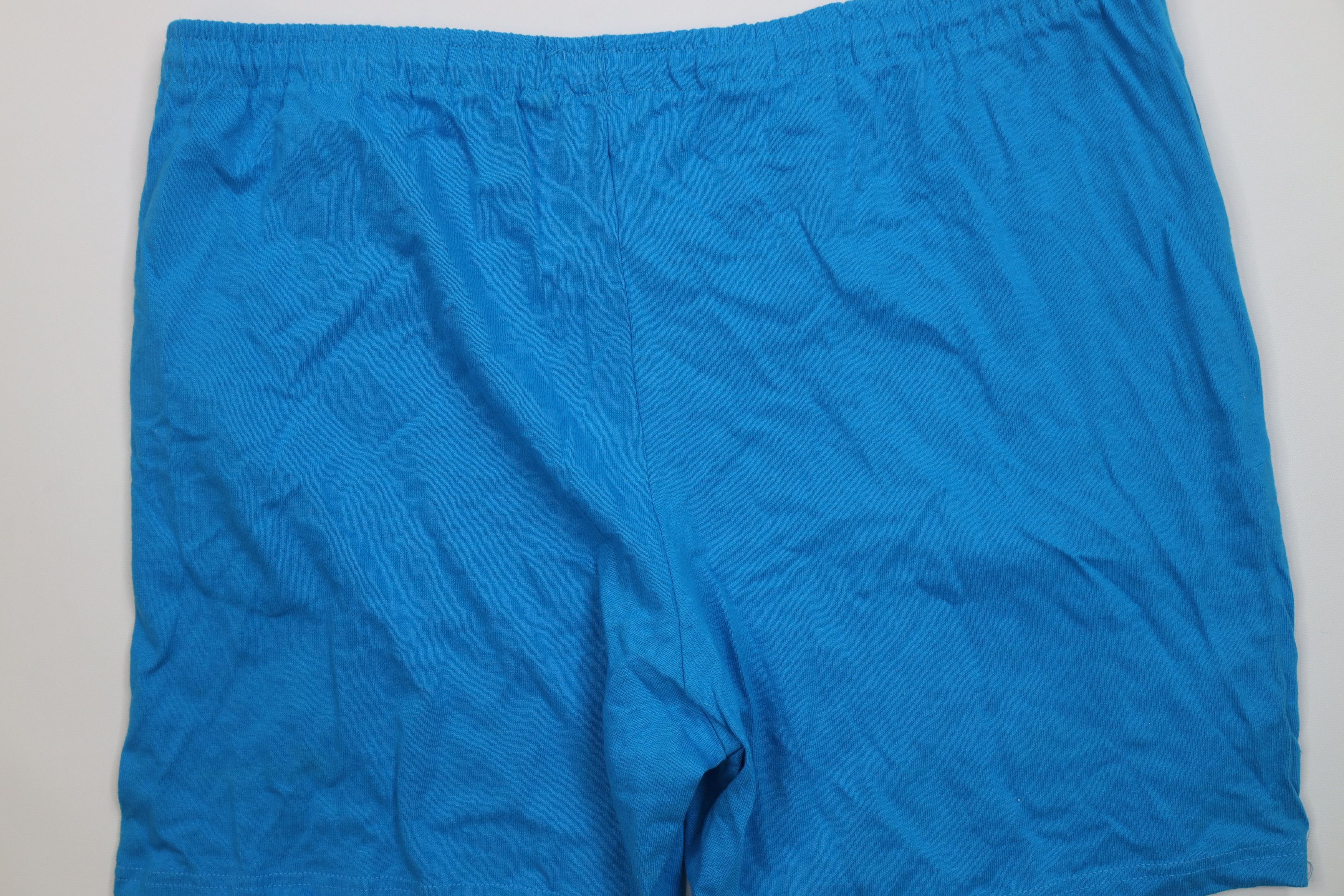 Champion Vintage 90s Champion Above Knee Jersey Knit Shorts Blue USA Size US 36 / EU 52 - 12 Thumbnail