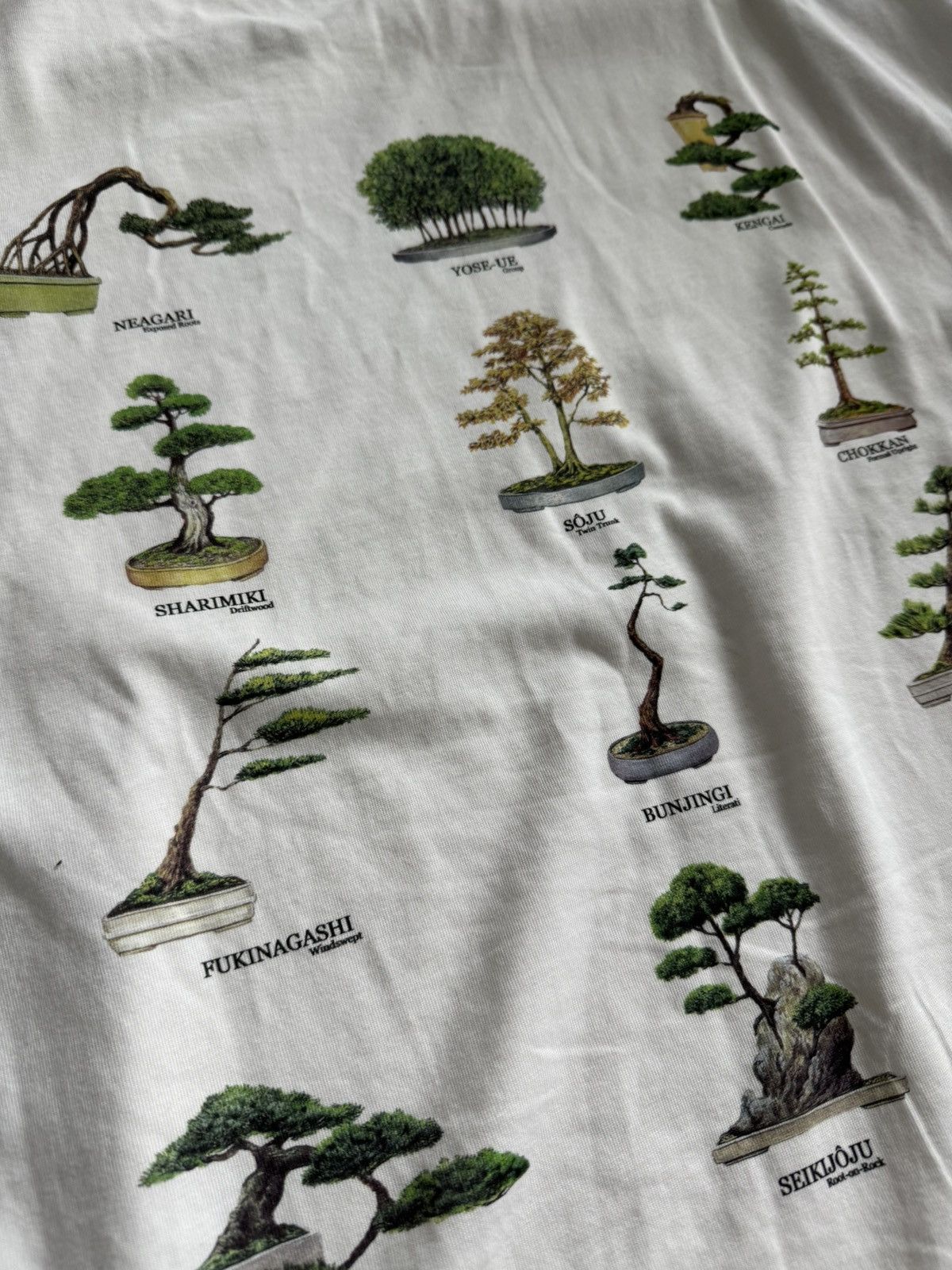 Other Bonsai Phillllthy T Shirt Heavy RARE Size US L / EU 52-54 / 3 - 5 Thumbnail