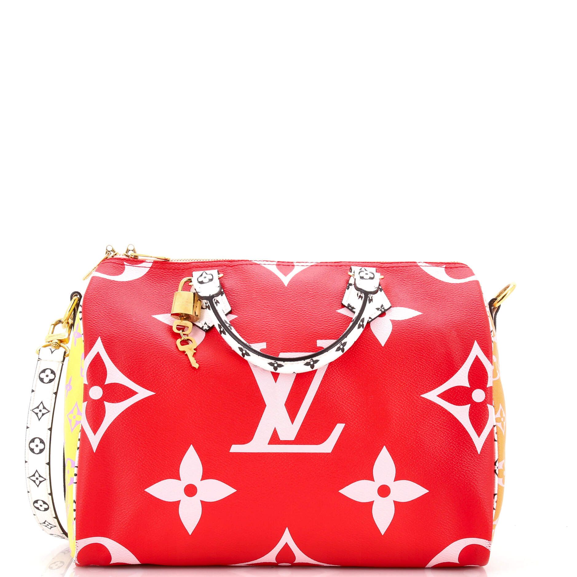 Louis Vuitton Speedy Bandouliere Bag Size ONE SIZE - 1 Thumbnail