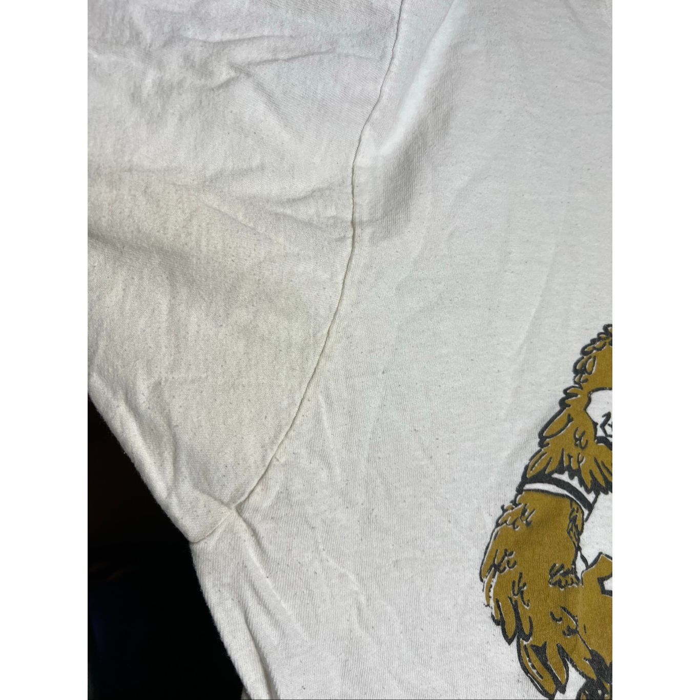 Fruit Of The Loom Vintage 80s USM Golden Eagles University Rivalry Tee Size US XL / EU 56 / 4 - 6 Thumbnail