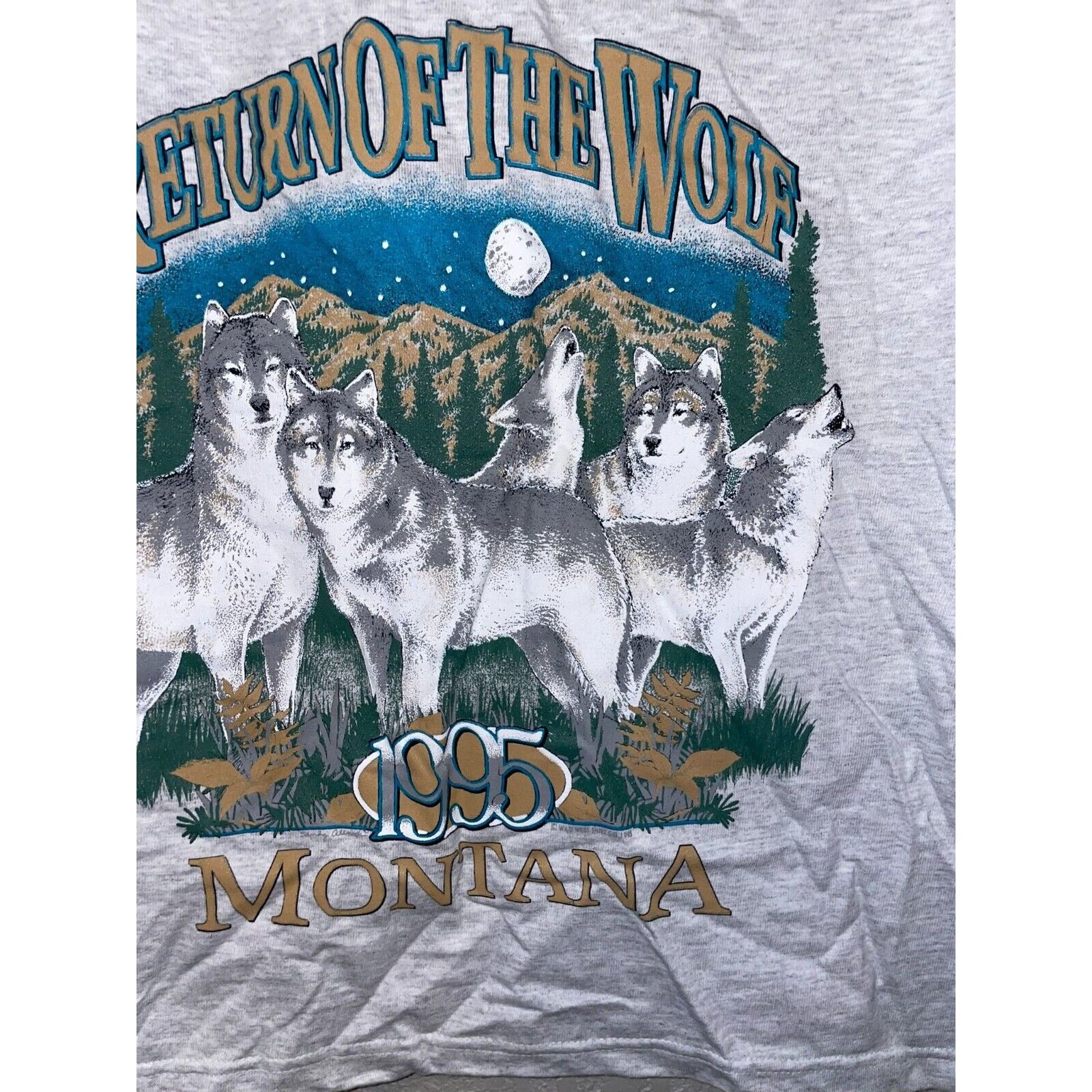 Signal Sport Vintage Test Print Long Sleeve Shirt Nature Tee Grand Canyon Size US L / EU 52-54 / 3 - 11 Thumbnail