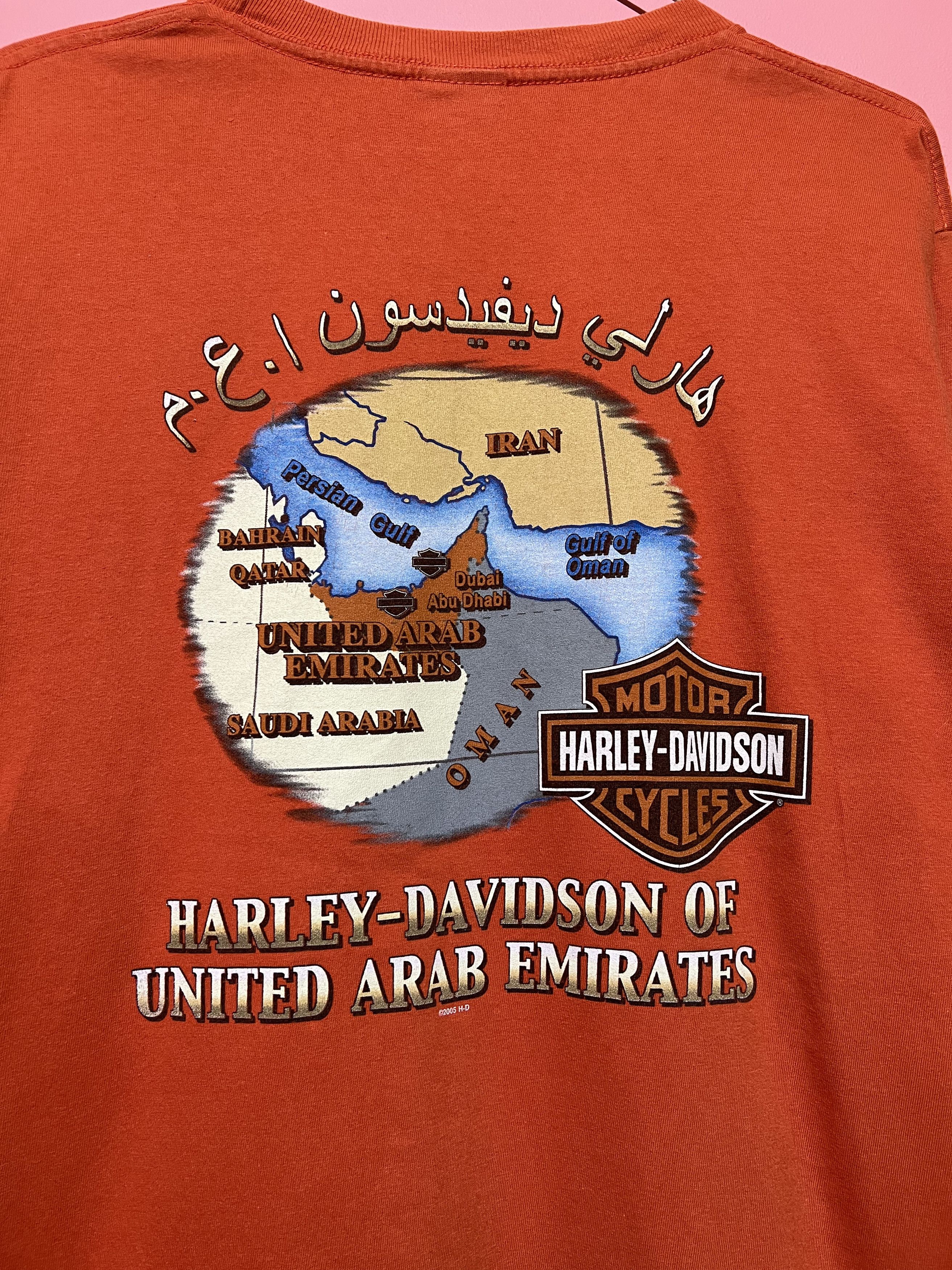 Harley Davidson Harley Davidson motorcycle shirt casual printed 2007 2005 Size US L / EU 52-54 / 3 - 3 Thumbnail
