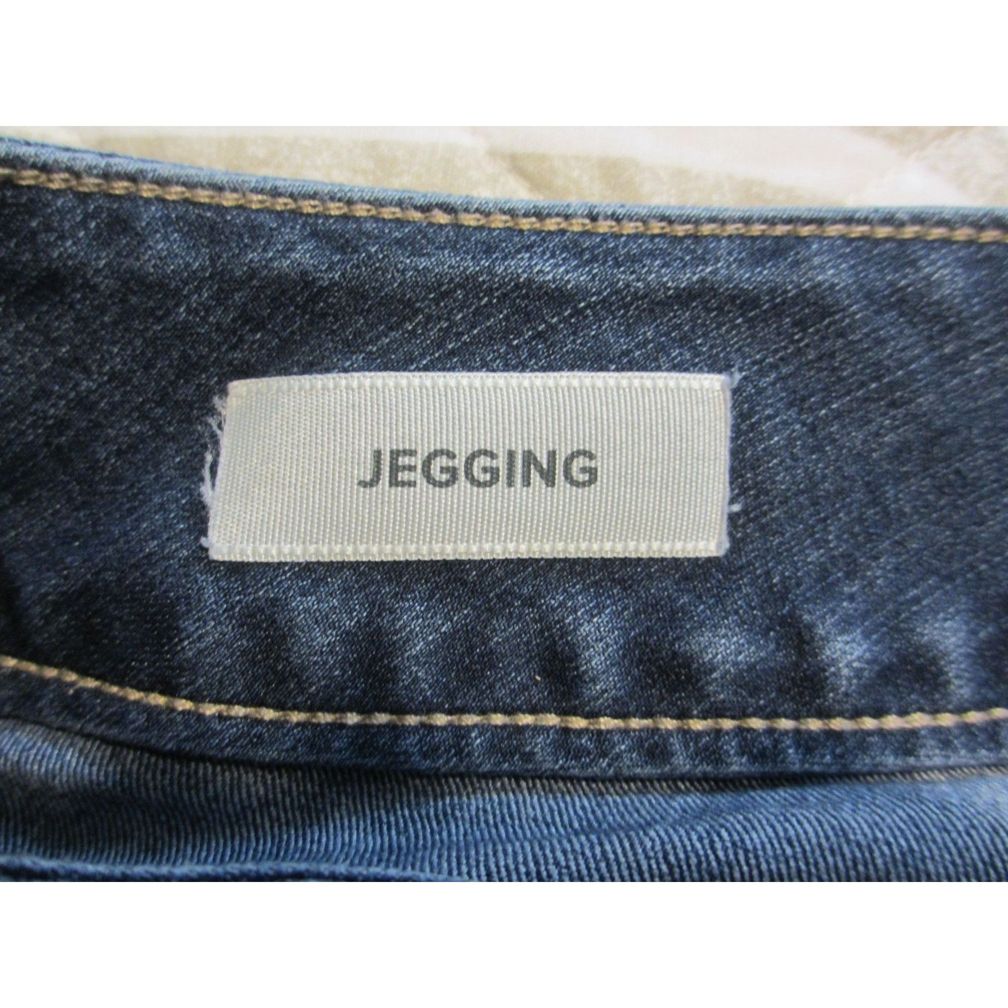 Torrid TORRID JEGGING BLUE JEANS 16 REGULAR VERY GOOD CONDITION Size 38" / US 16 / IT 52 - 6 Thumbnail