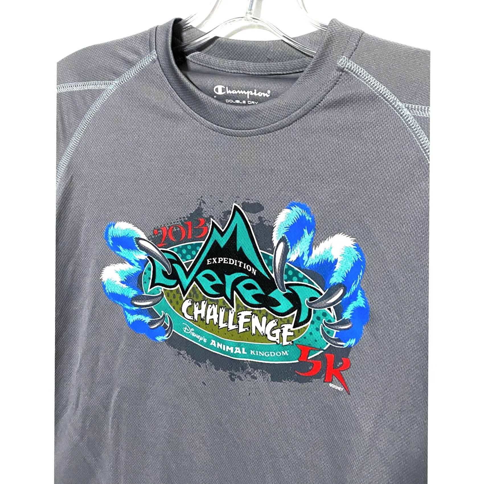 Champion VINTAGE Run Disney Animal Kingdom 2013 Expedition Everest Challenge 5K Gray Shirt Men XS Size US XS / EU 42 / 0 - 3 Thumbnail