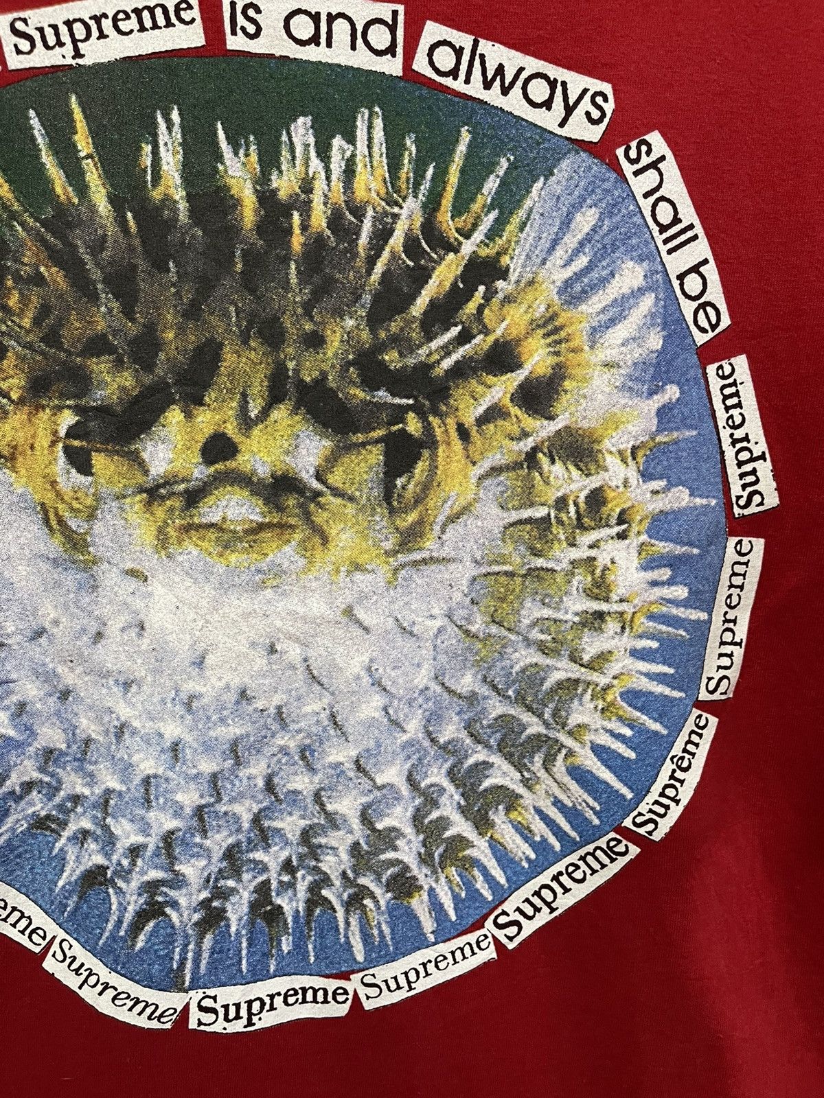 Supreme Supreme 23SS Blowfish🔥🔥🔥 Size US L / EU 52-54 / 3 - 9 Thumbnail