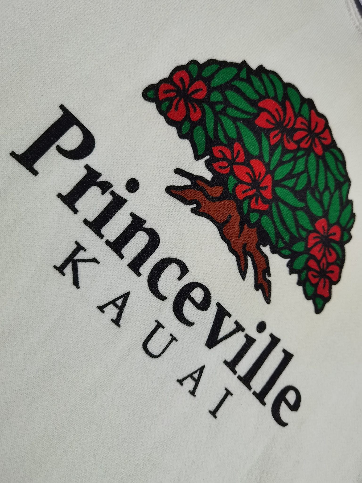 Hanes × Vintage Vintage Princeville KAUAI X hanes USA S 2171 Size US S / EU 44-46 / 1 - 7 Thumbnail
