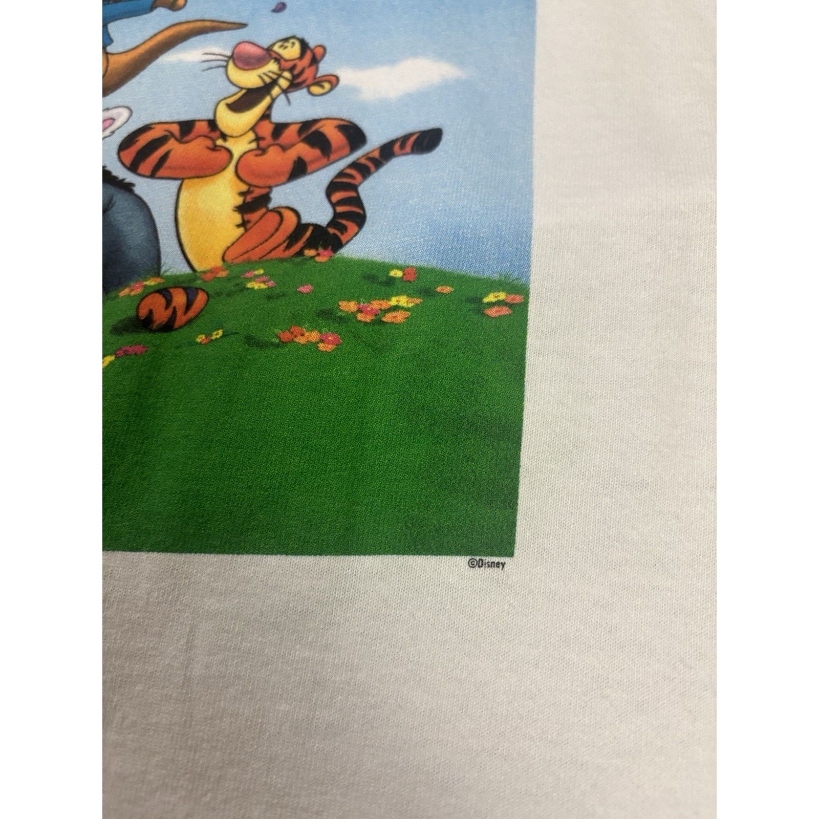 Fruit Of The Loom Vintage Disney Winnie the Pooh Springtime with Roo Tshirt L Size US L / EU 52-54 / 3 - 3 Thumbnail