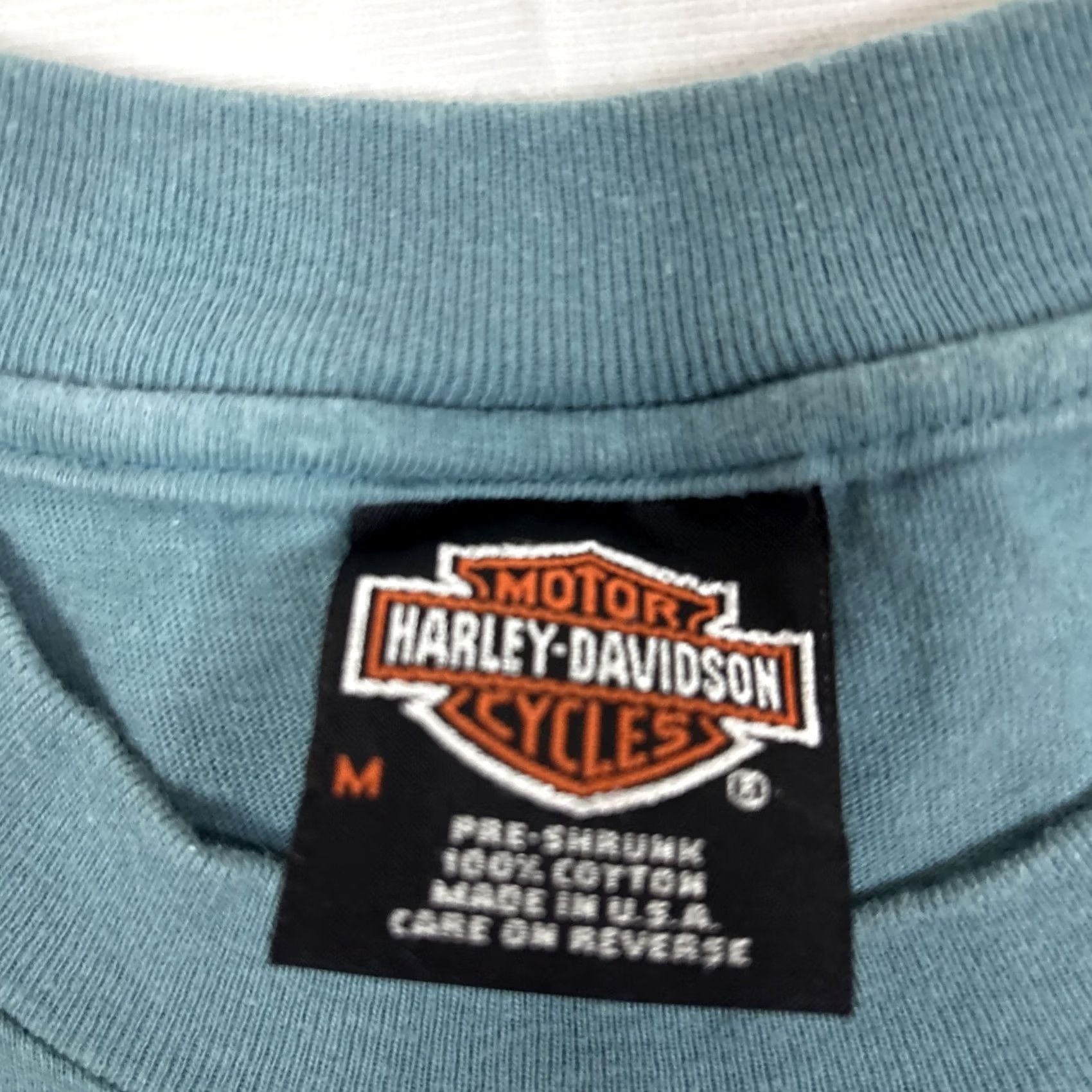 Harley Davidson VINTAGE Harley-Davidson T Shirt M 1998 Virginia Harley Owners HOG Rally Williamsburg Mens Green Size M Size US M / EU 48-50 / 2 - 4 Thumbnail