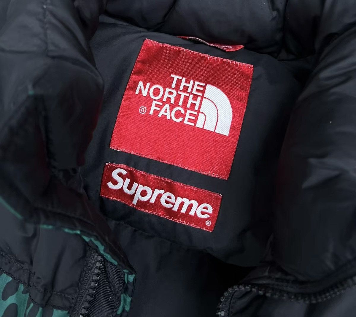 Supreme 11fw tnf north face green leopard nuptse Jacket