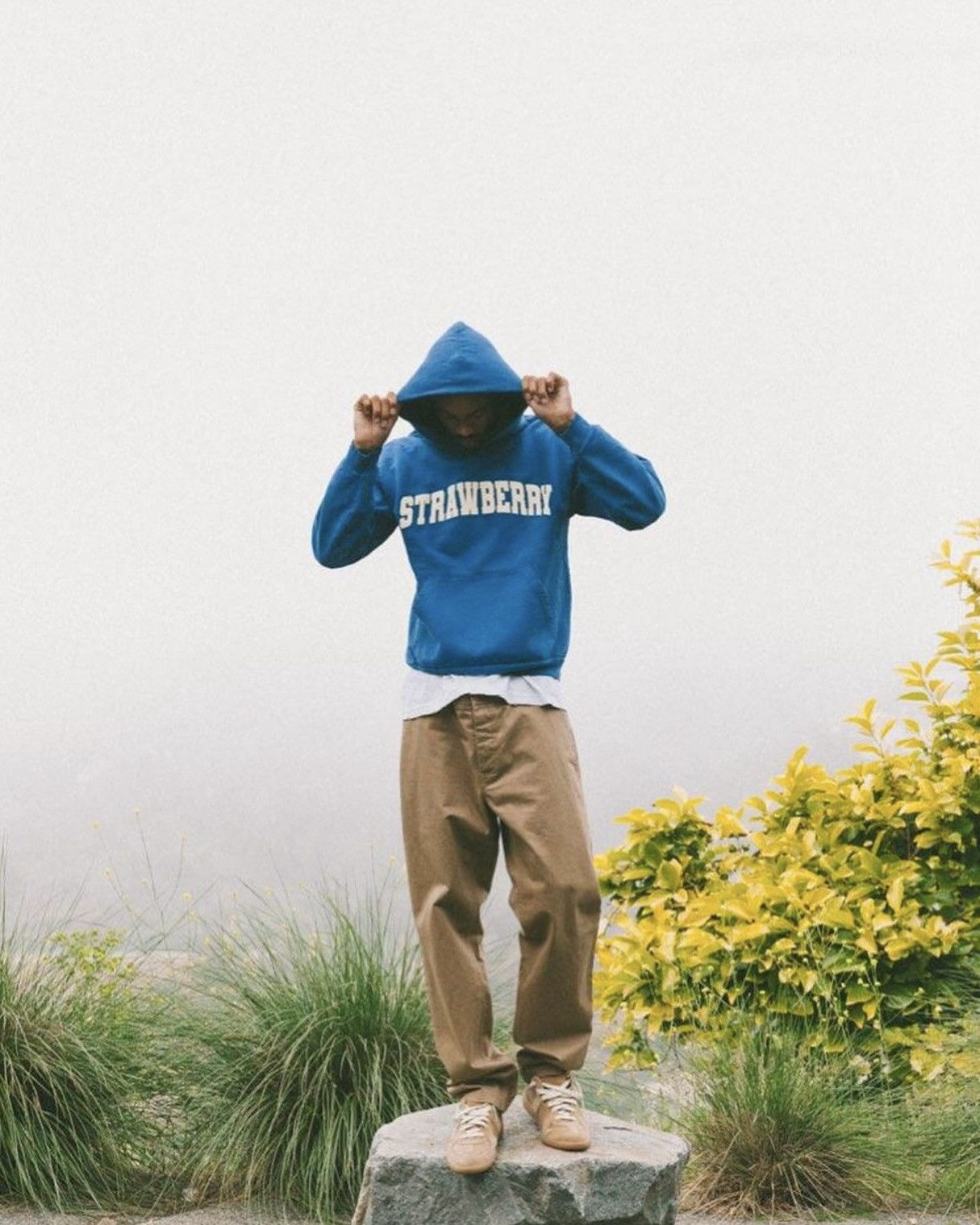 Kai × Strawberry ARCHED STRAWBERRY NAVY HOODIE (XL) Size US XL / EU 56 / 4 - 3 Thumbnail