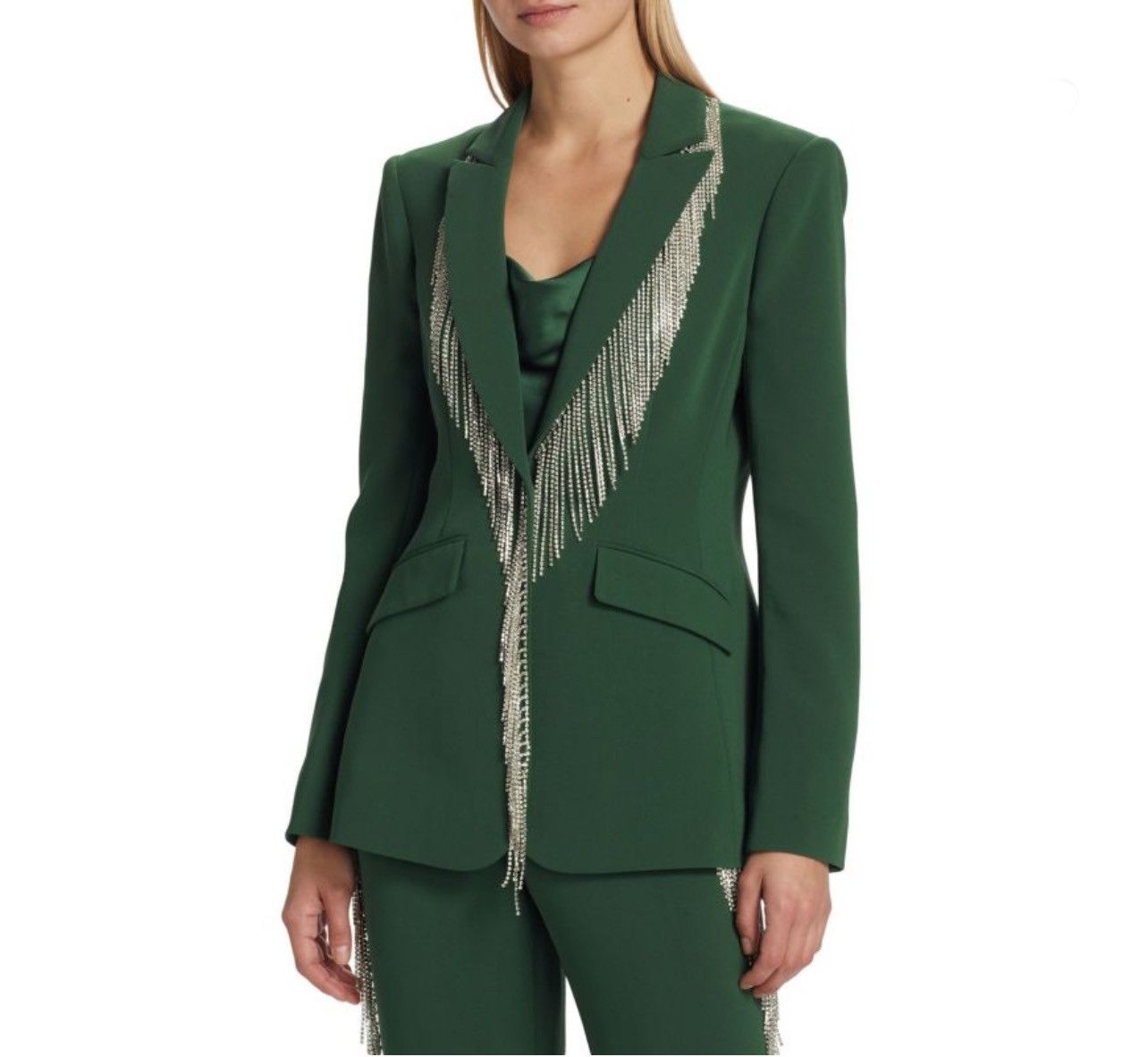 Cinq a Sept CINQ À SEPT Cheyenne Fringe Embellished Blazer size 2 Size XS / US 0-2 / IT 36-38 - 2 Thumbnail