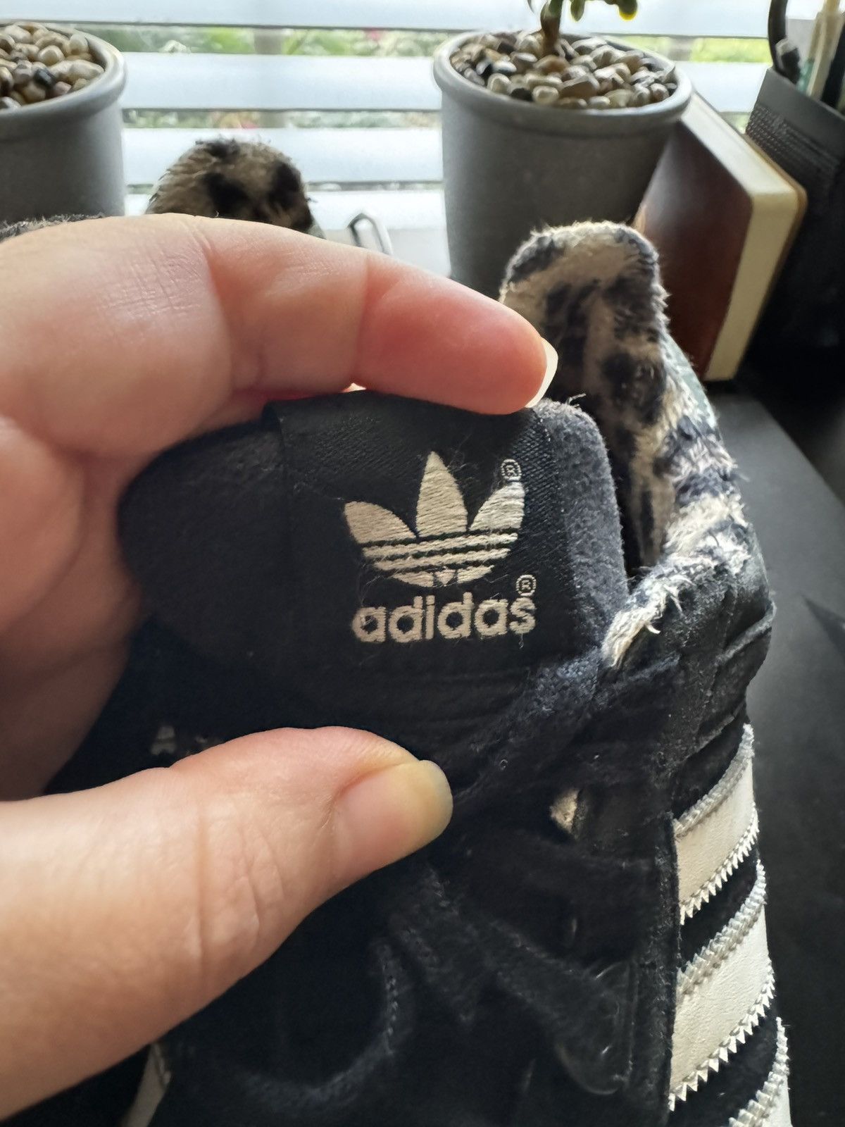 Adidas Adidas ZX 8000 Leopard Fleece B25215 - Women’s US 6 Size US 6 / IT 36 - 3 Thumbnail