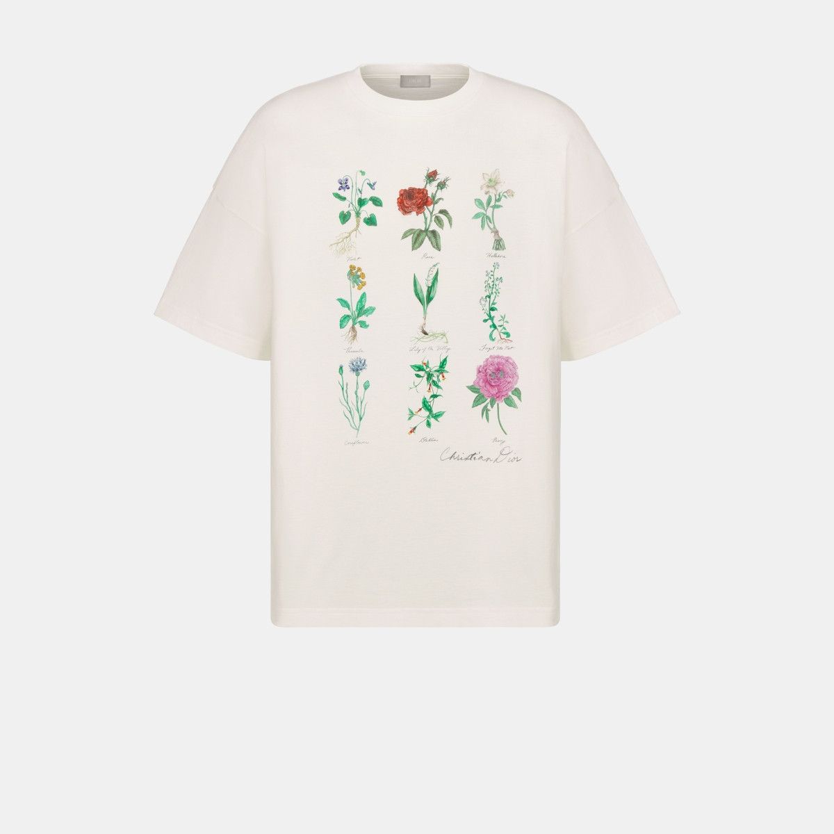 Dior o1bcso1str0226 T-Shirt in White Size US S / EU 44-46 / 1 - 1 Thumbnail