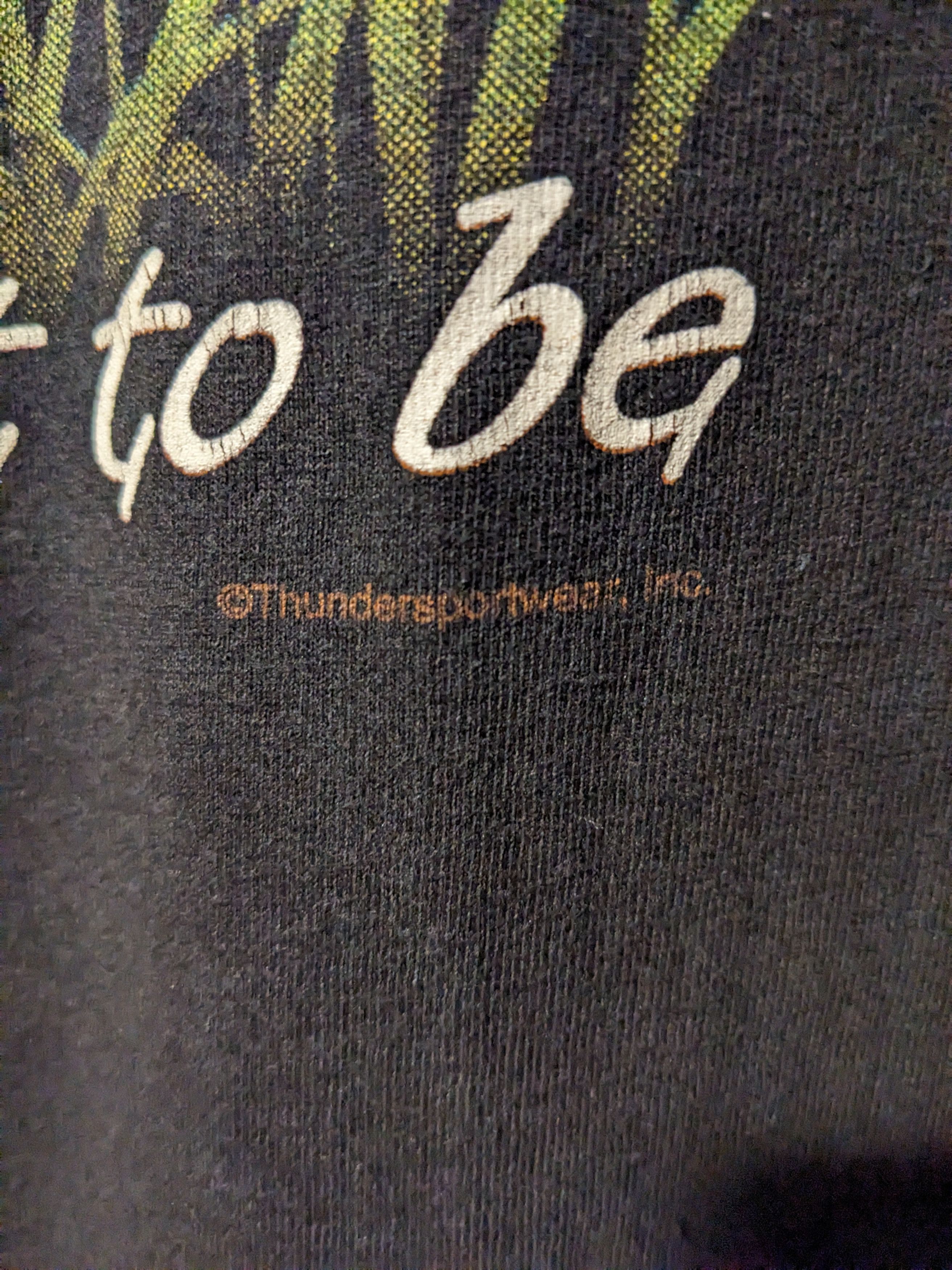 Vintage Vintage Y2K Where I Want to Be Thunder Sportswear T-Shirt Size US L / EU 52-54 / 3 - 3 Thumbnail