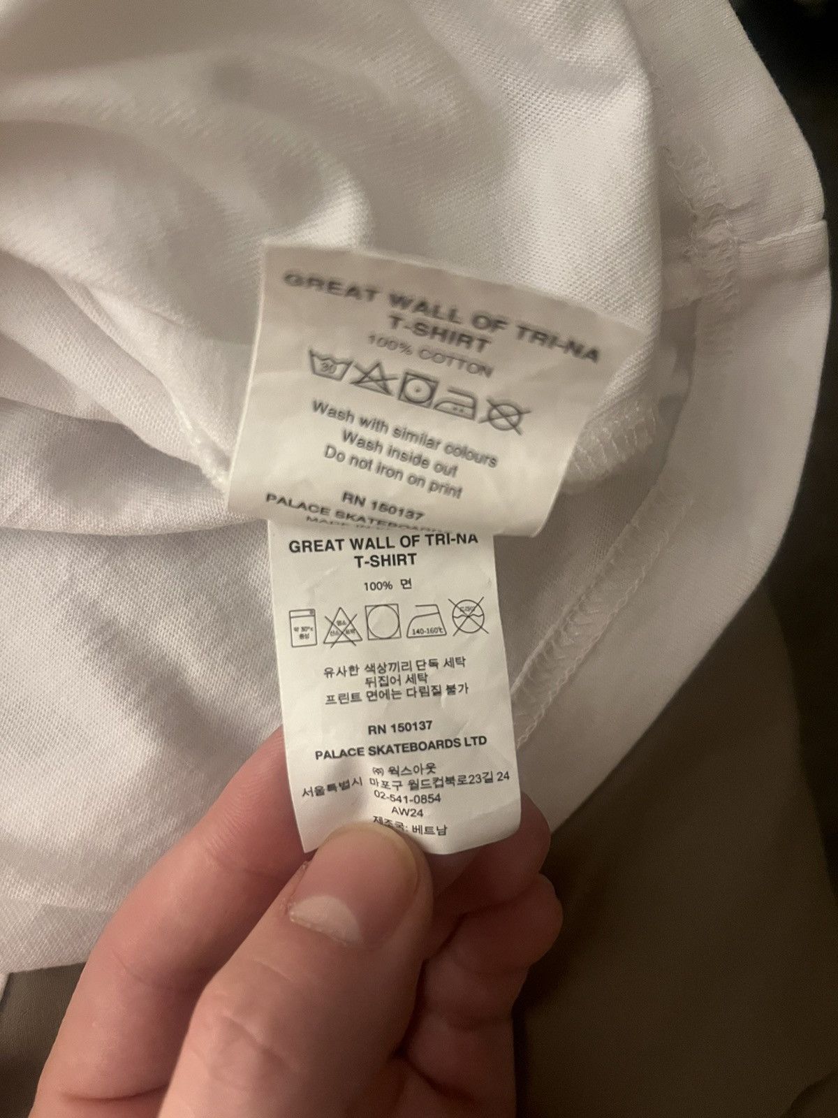 Palace Palace GREAT WALL OF TRI-NA Tee Size US M / EU 48-50 / 2 - 5 Thumbnail