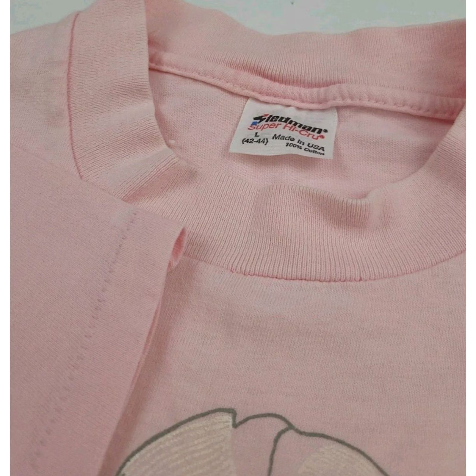 Pinko VINTAGE Petunia Charlevoix Print T Shirt Art Work Flower Michigan Pink Unisex Adults S Short Sleeve Crew Neck Vintage 80s Size US S / EU 44-46 / 1 - 4 Thumbnail