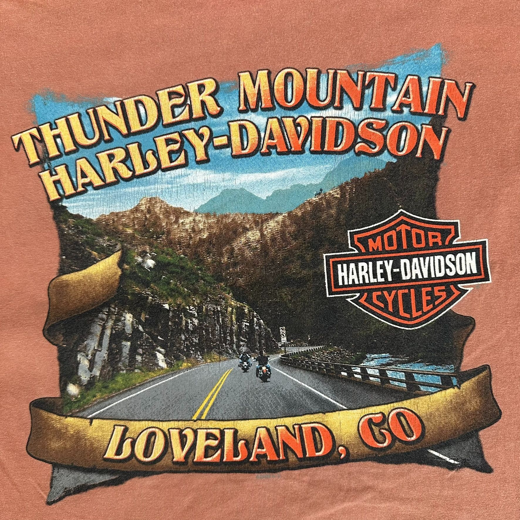 Harley Davidson Vintage Y2K Harley Davidson T-Shirt Moto Biker Loveland Colo Size US XXL / EU 58 / 5 - 5 Thumbnail