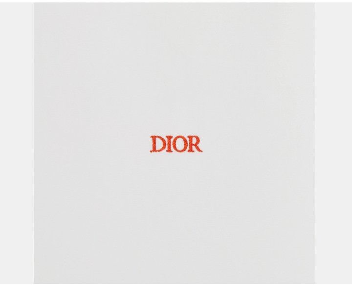 Dior o1w1db11124 Cotton Twill Shirt in White Size US M / EU 48-50 / 2 - 3 Thumbnail