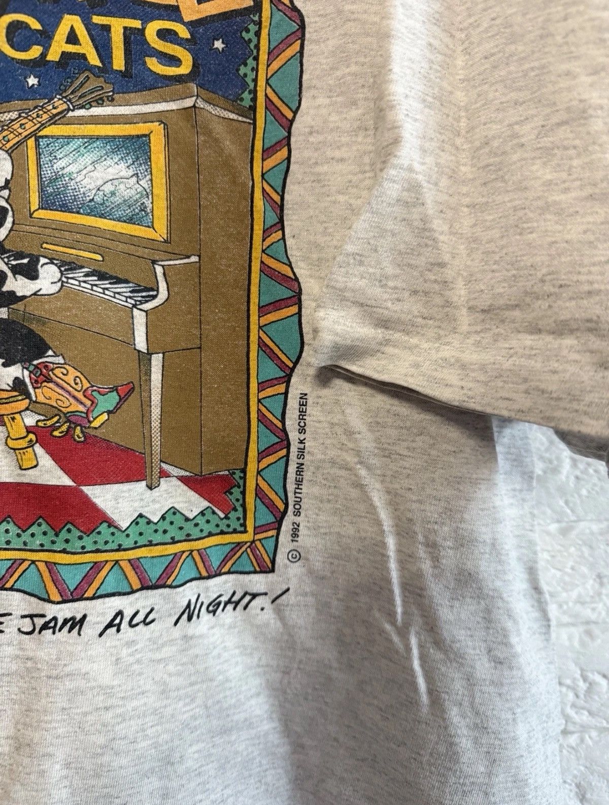Hanes Vintage Tshirt Nashville Cats 1992 Hanes USA Made Sz XL Size US XL / EU 56 / 4 - 5 Thumbnail