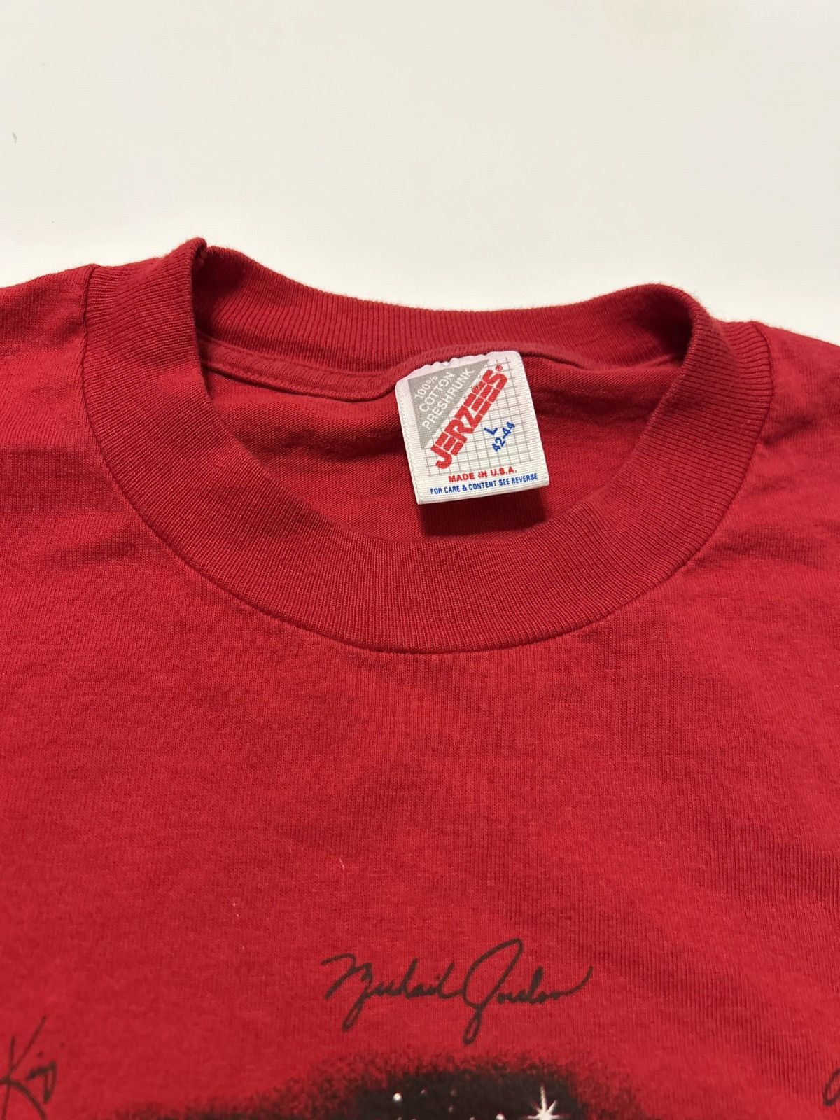 Jerzees Vintage 1991 Chicago Bulls NBA World Champs Tshirt Size US L / EU 52-54 / 3 - 6 Thumbnail