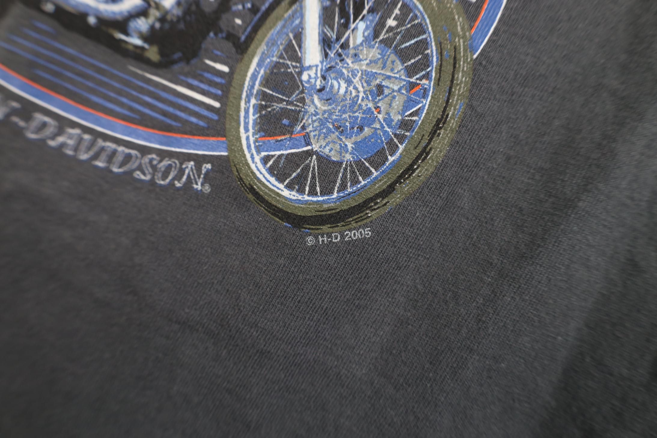 Harley Davidson Vintage Y2K 2005 Harley Davidson Fire Flames Arbor T-Shirt Size US XL / EU 56 / 4 - 5 Thumbnail