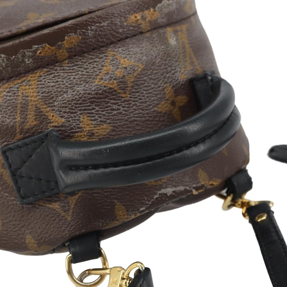 Louis Vuitton Louis Vuitton Monogram Palm Springs Mini Backpack Brown Size ONE SIZE - 9 Thumbnail