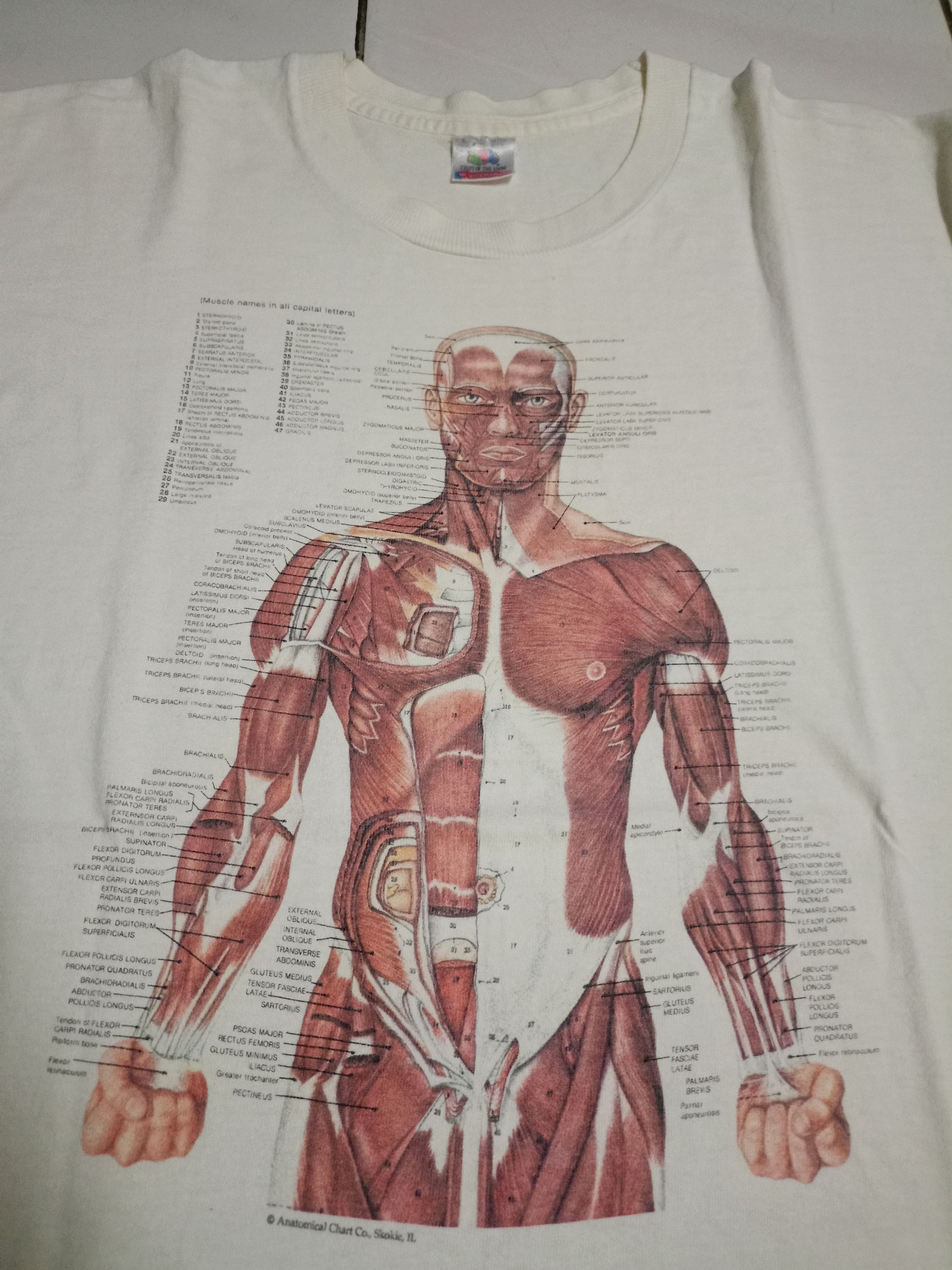 Vintage Vintage rare anatomy Kurt Cobain t shirt Size US L / EU 52-54 / 3 - 2 Thumbnail
