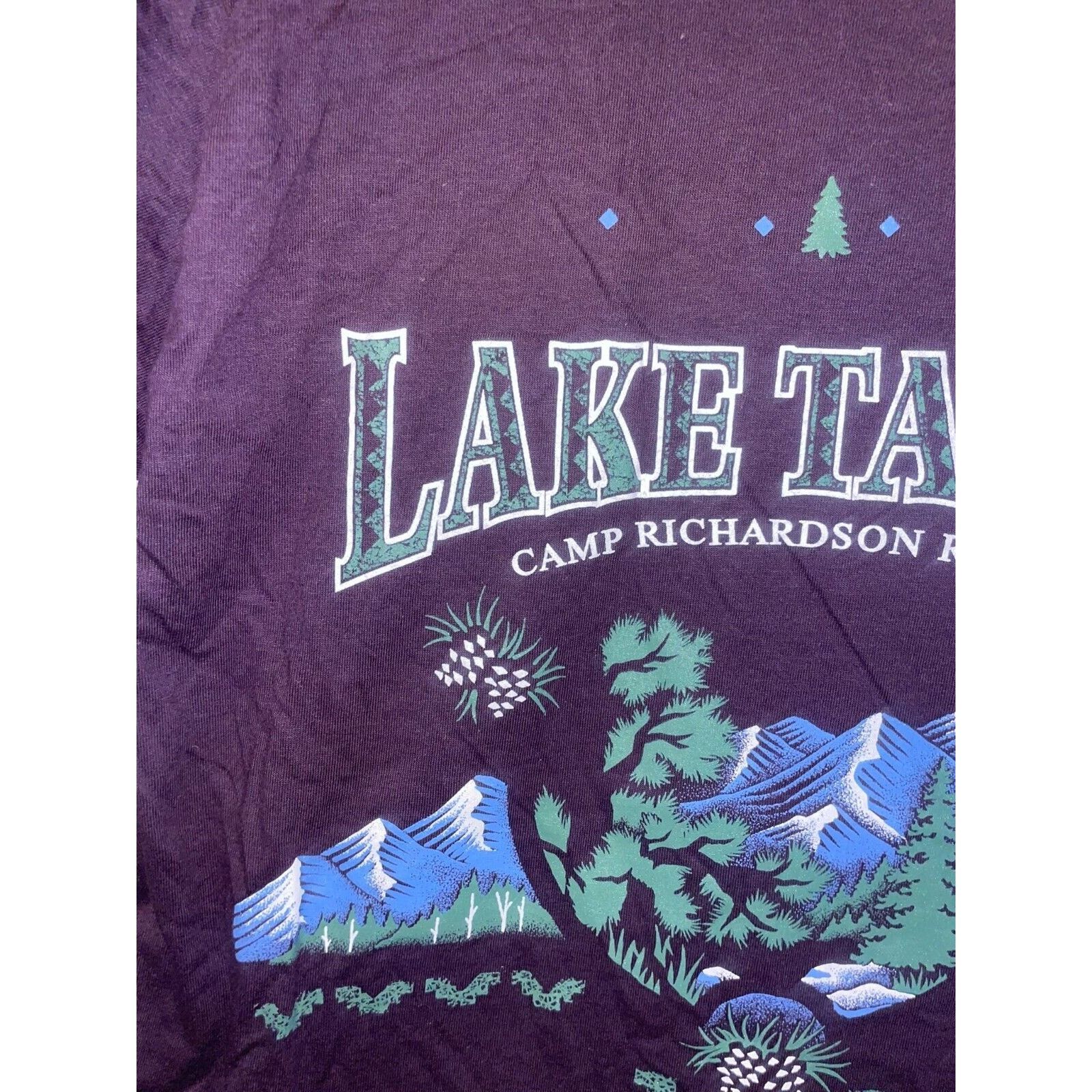 Jerzees Vintage Test Print Shirt Lake tahoe Camp Richardson Tee 90s Size US M / EU 48-50 / 2 - 2 Thumbnail