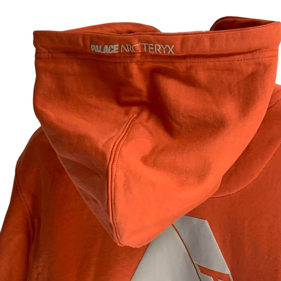 Arc'teryx × Palace Arcteryx x Palace Hoodie Size US M / EU 48-50 / 2 - 7 Thumbnail