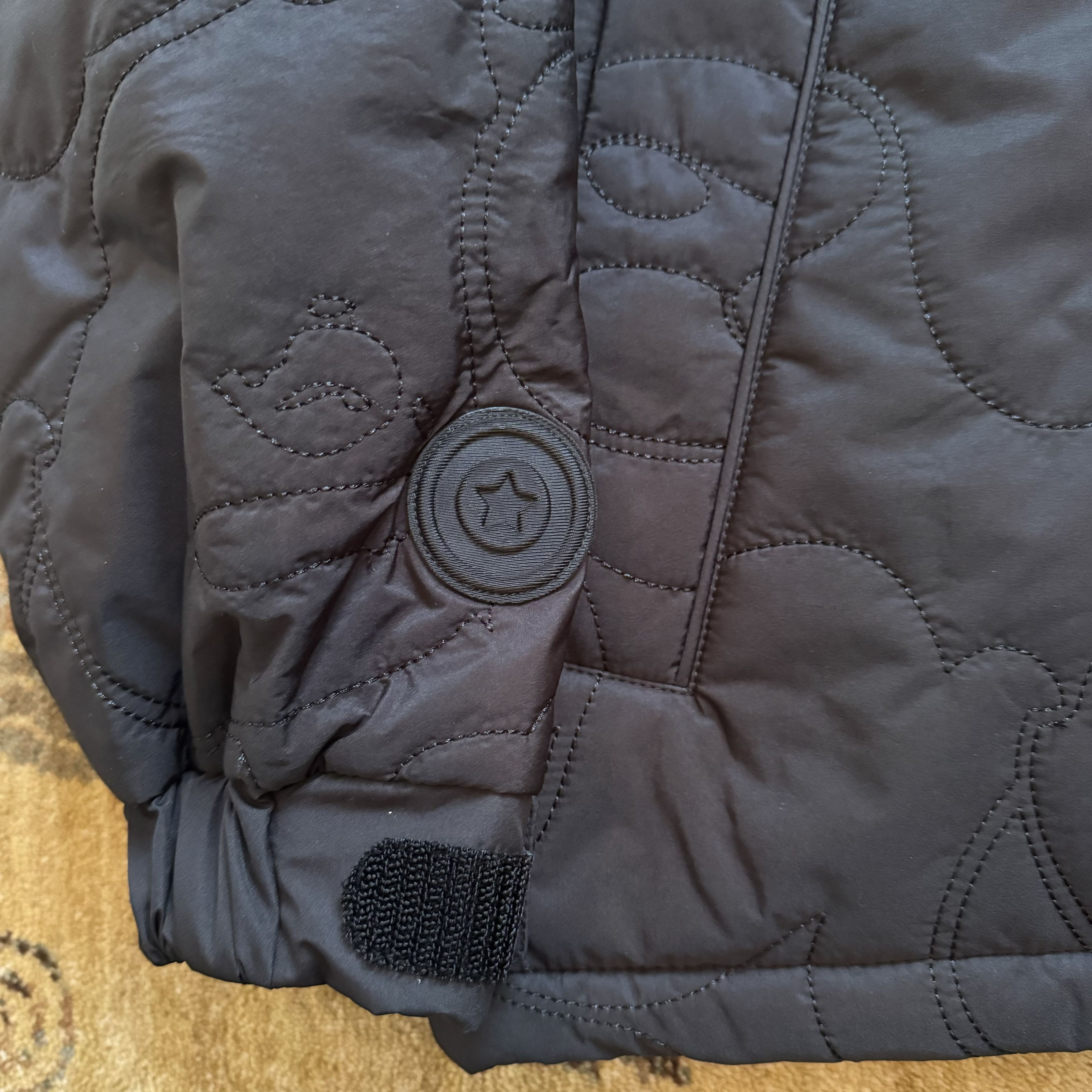 Shark Jacket