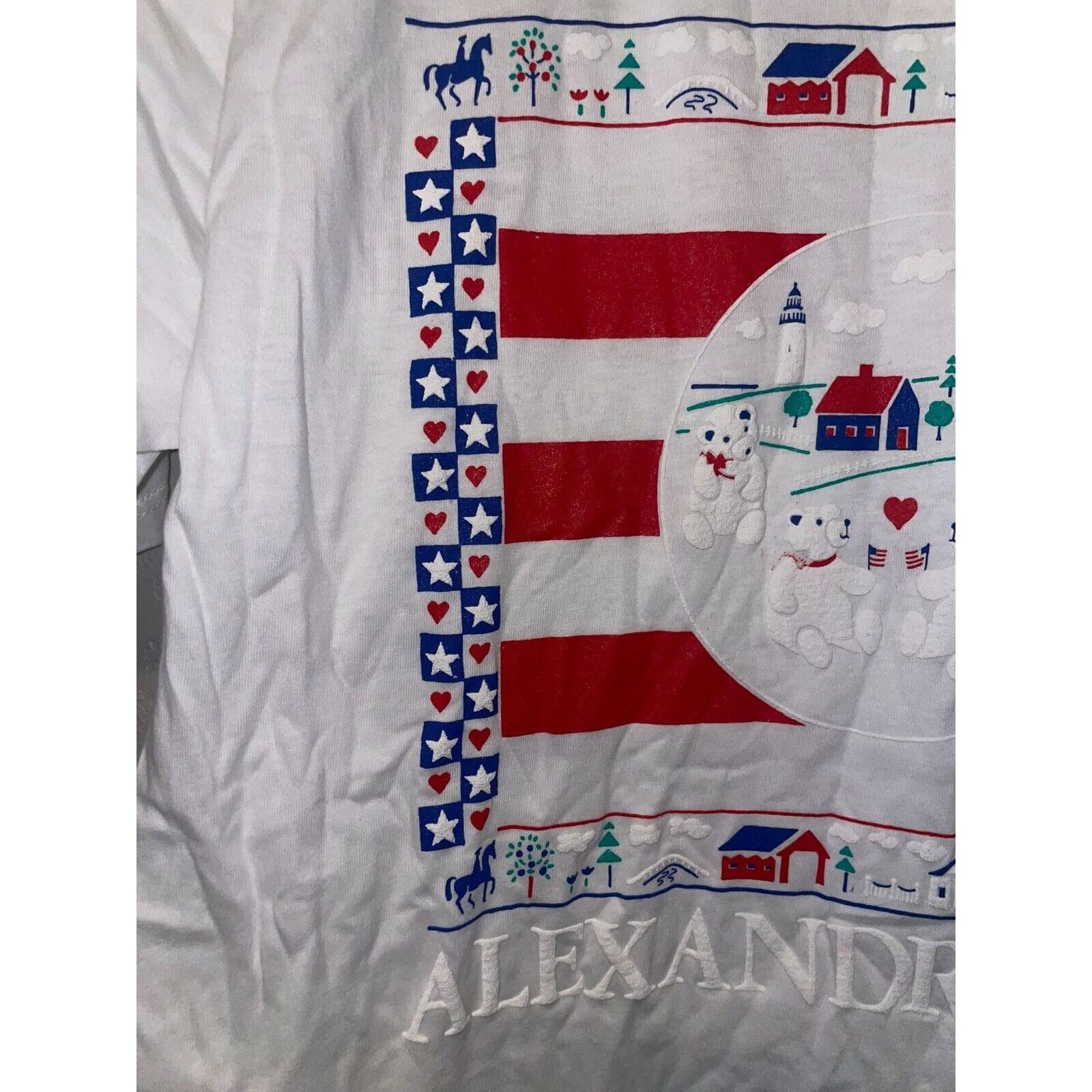 Jerzees Vintage Test Print Shirt New York Alexandria Bay White M Tee Size US M / EU 48-50 / 2 - 4 Thumbnail