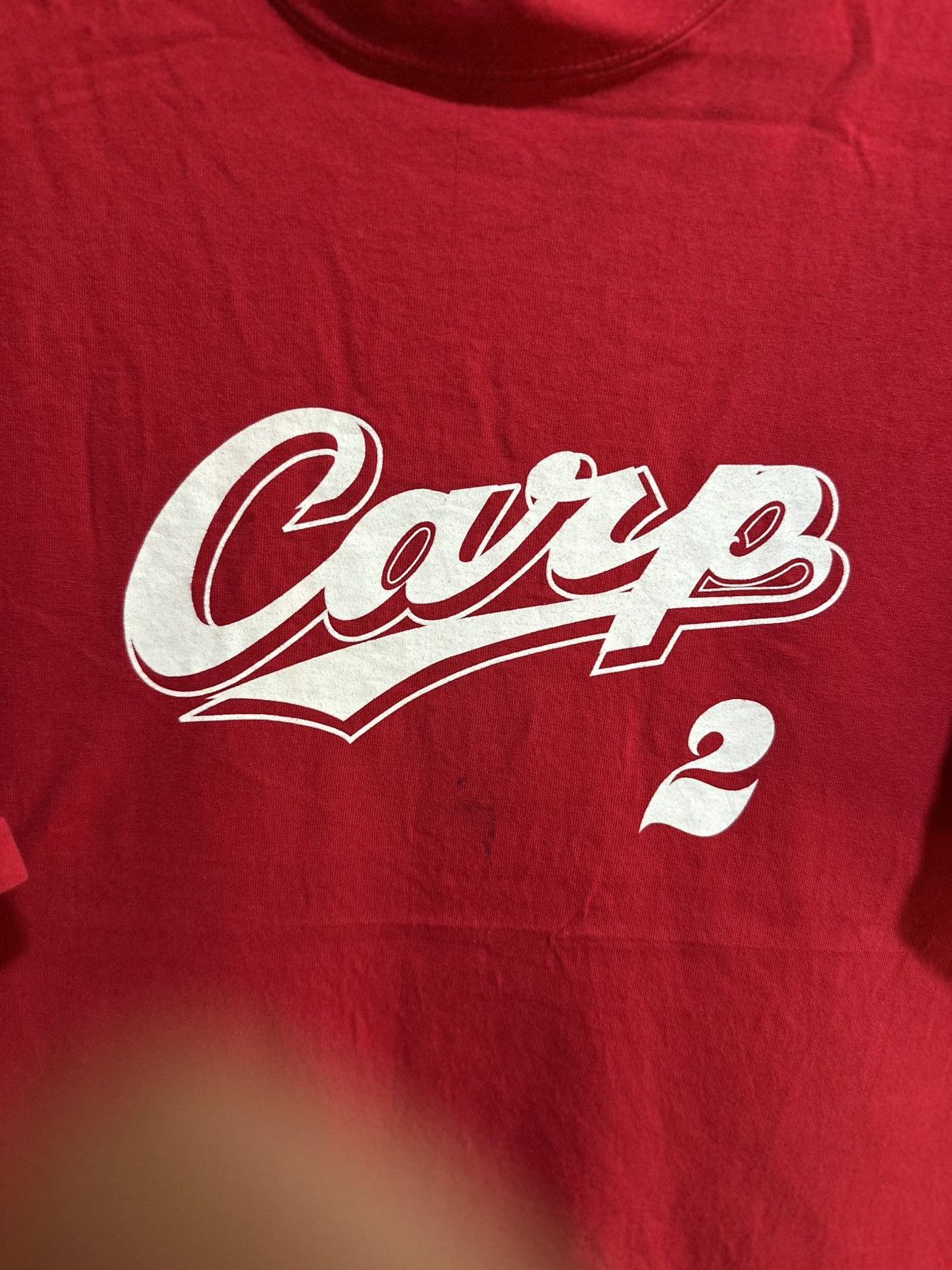 All Sport × Vintage Vintage All Sport Carp 2 Faded Tee Size US L / EU 52-54 / 3 - 2 Thumbnail