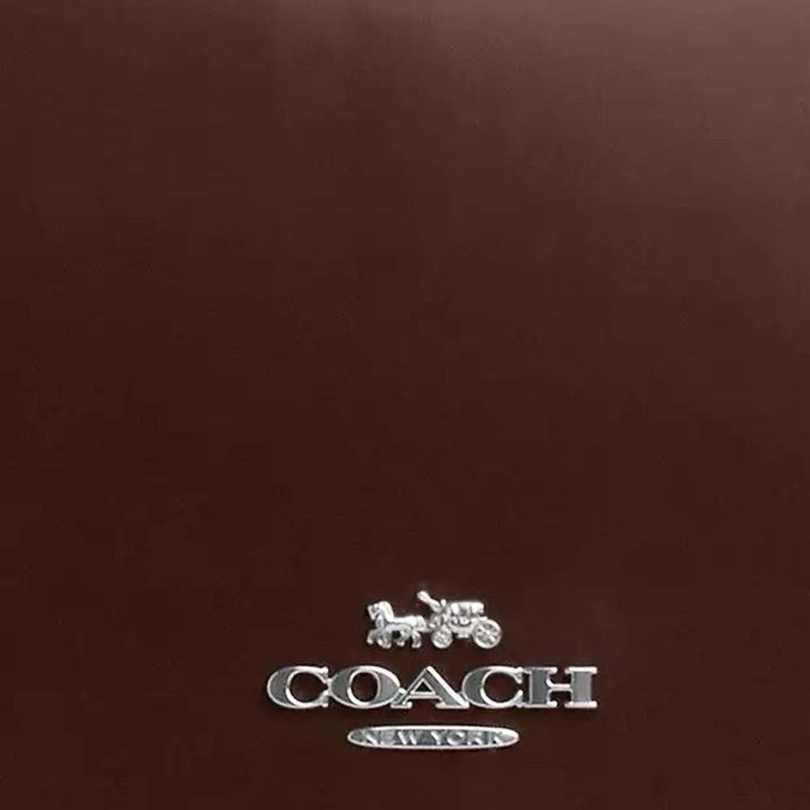 Coach NWT Coach CY657 Spazzolato Leather Quinn Bag Silver/Maple Size ONE SIZE - 13 Thumbnail