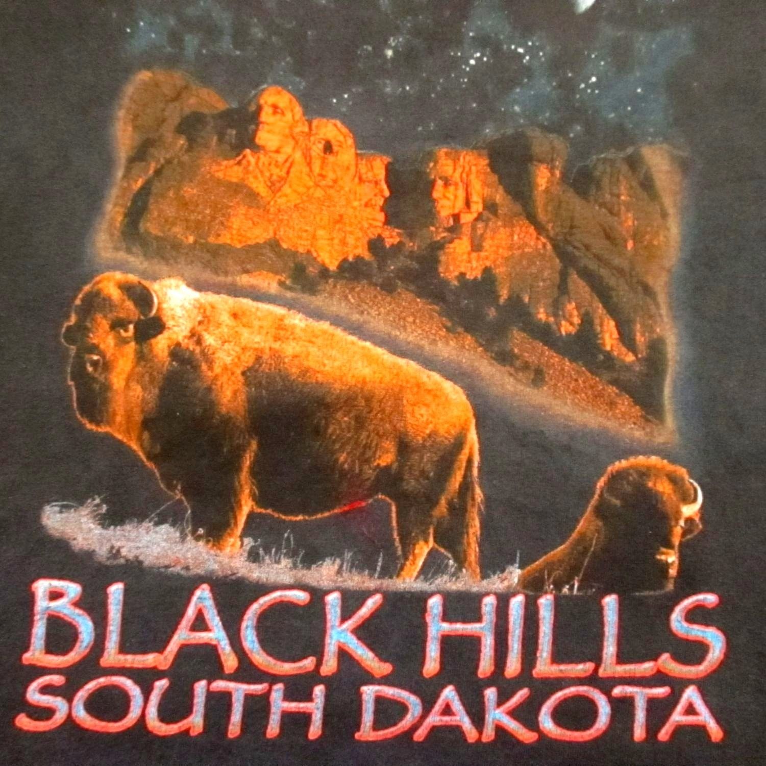 Hanes Vintage Men's T-shirt XL 1990s Black Hills S Dakota Rushmore Size US XL / EU 56 / 4 - 2 Thumbnail