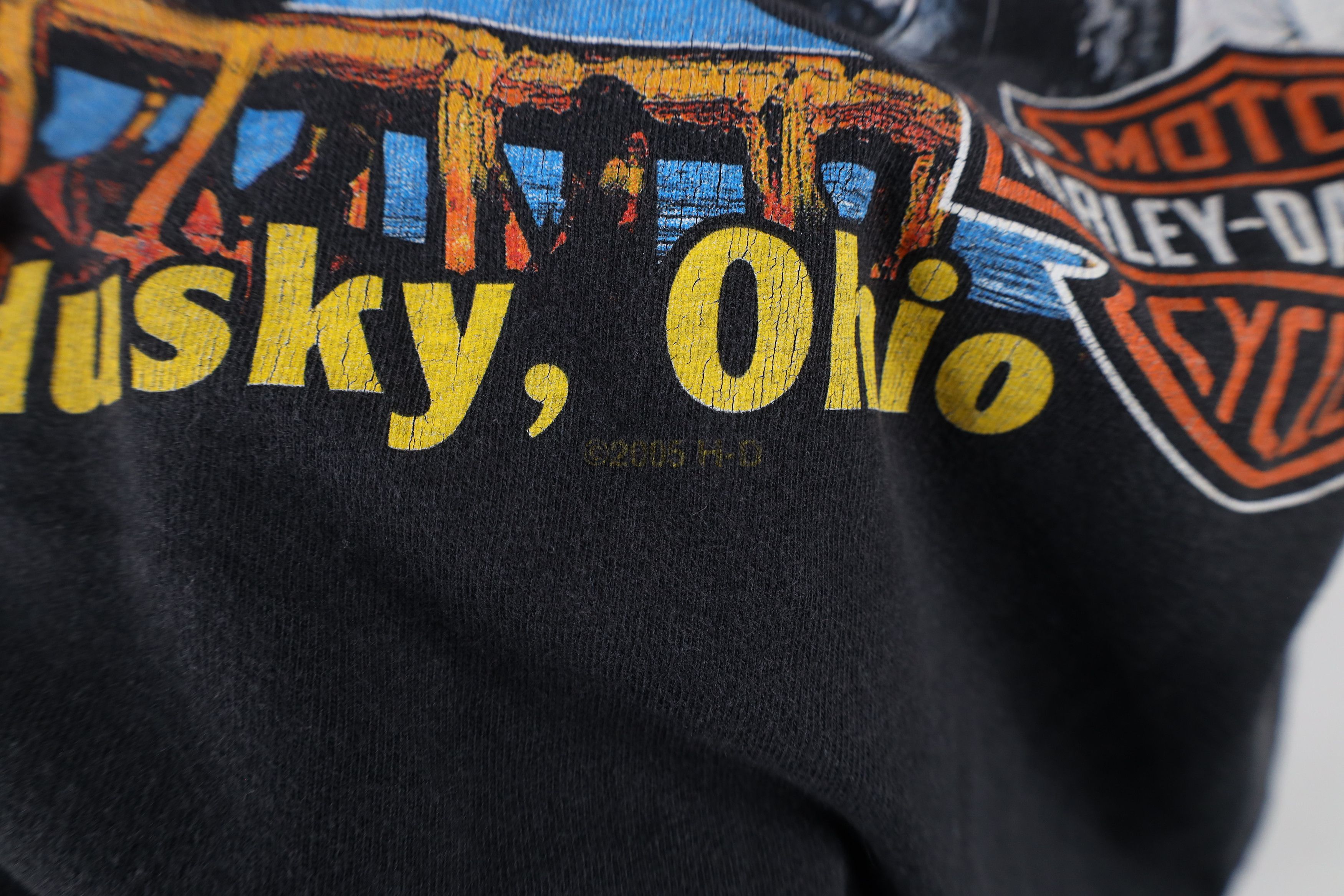 Harley Davidson × Vintage Vintage Y2K Harley Davidson Cedar Point T-Shirt Black USA Size US S / EU 44-46 / 1 - 8 Thumbnail